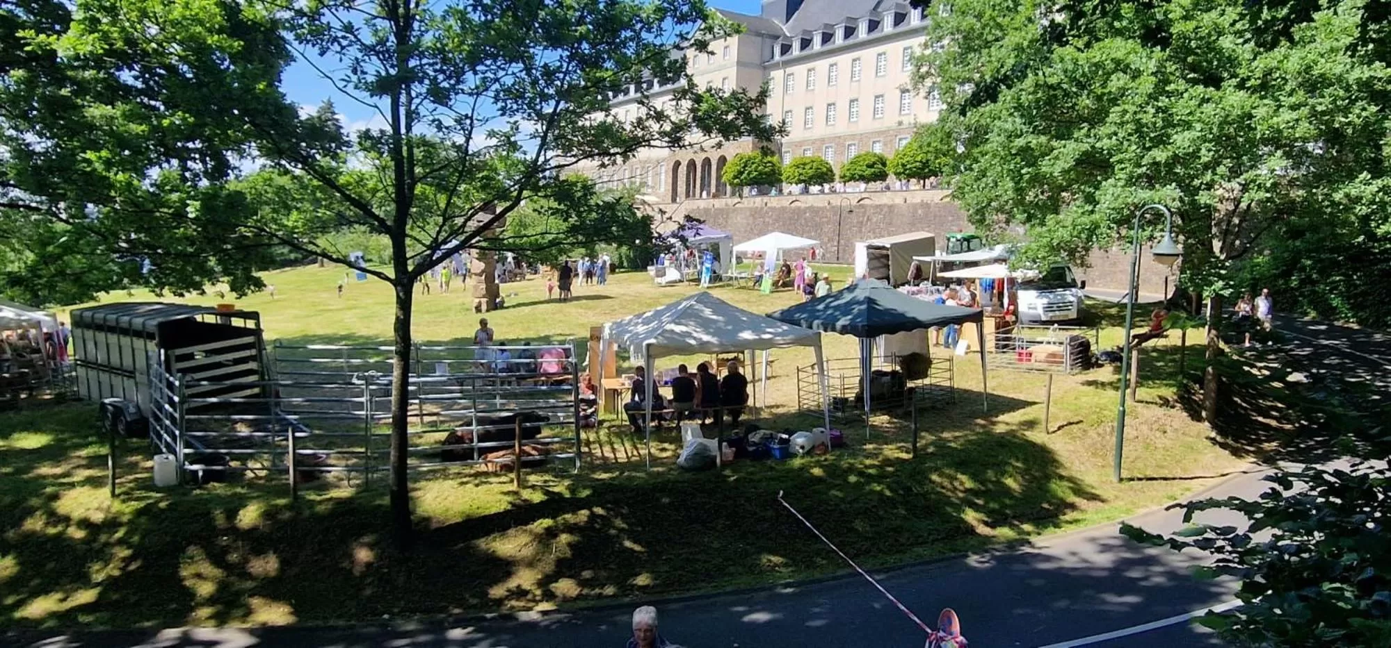 Garden in Kardinal Schulte Haus