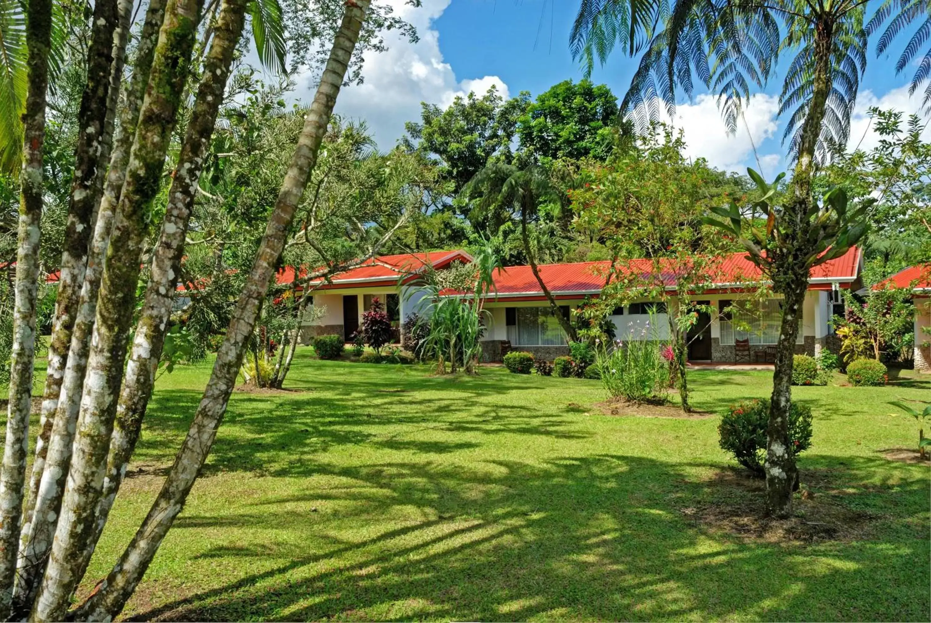 Garden, Property Building in Volcano Lodge, Hotel & Thermal Experience
