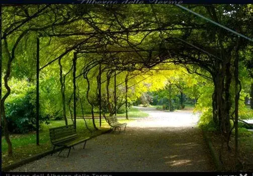 Garden in Hotel Terme di Castel San Pietro