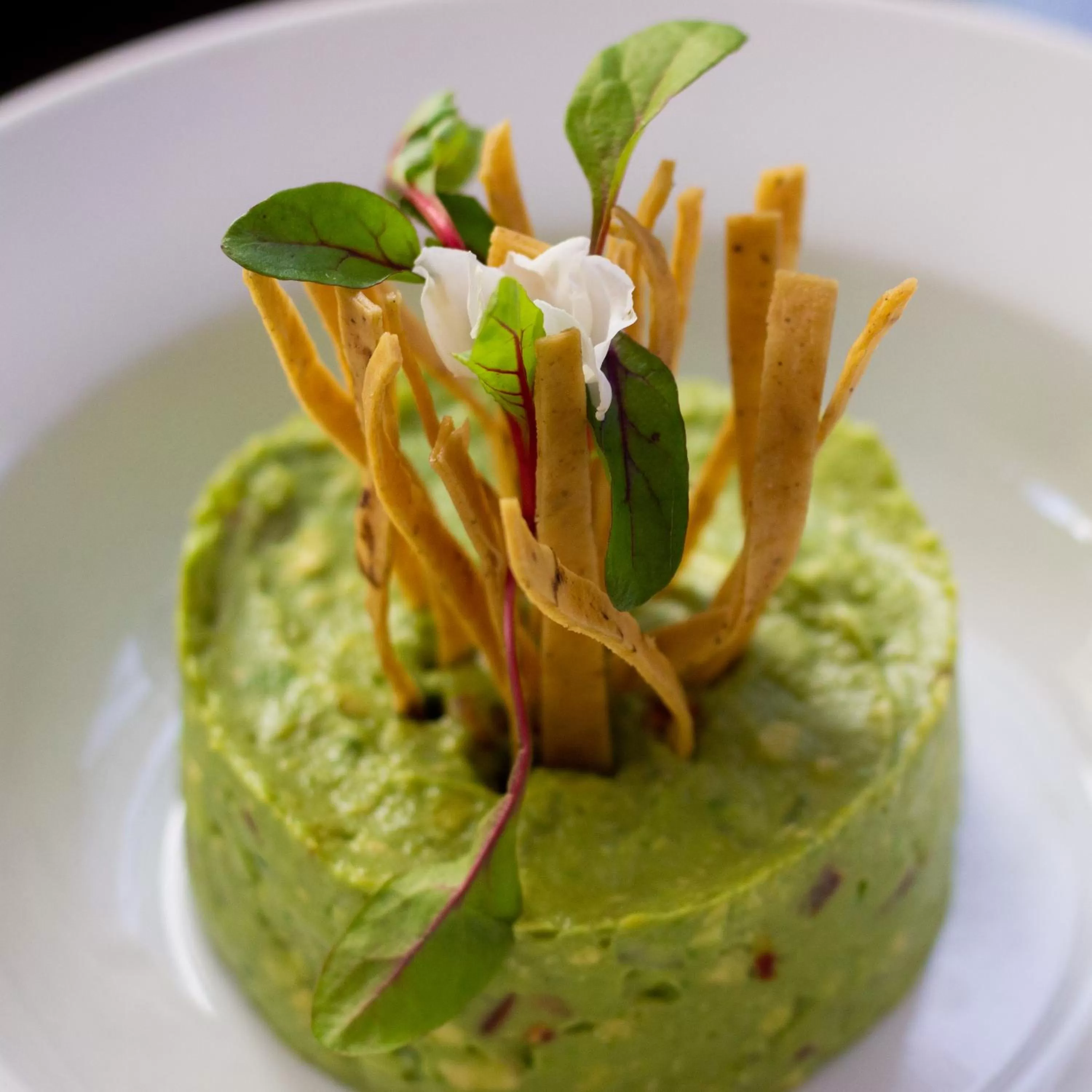 Food close-up in Hotel De La Soledad