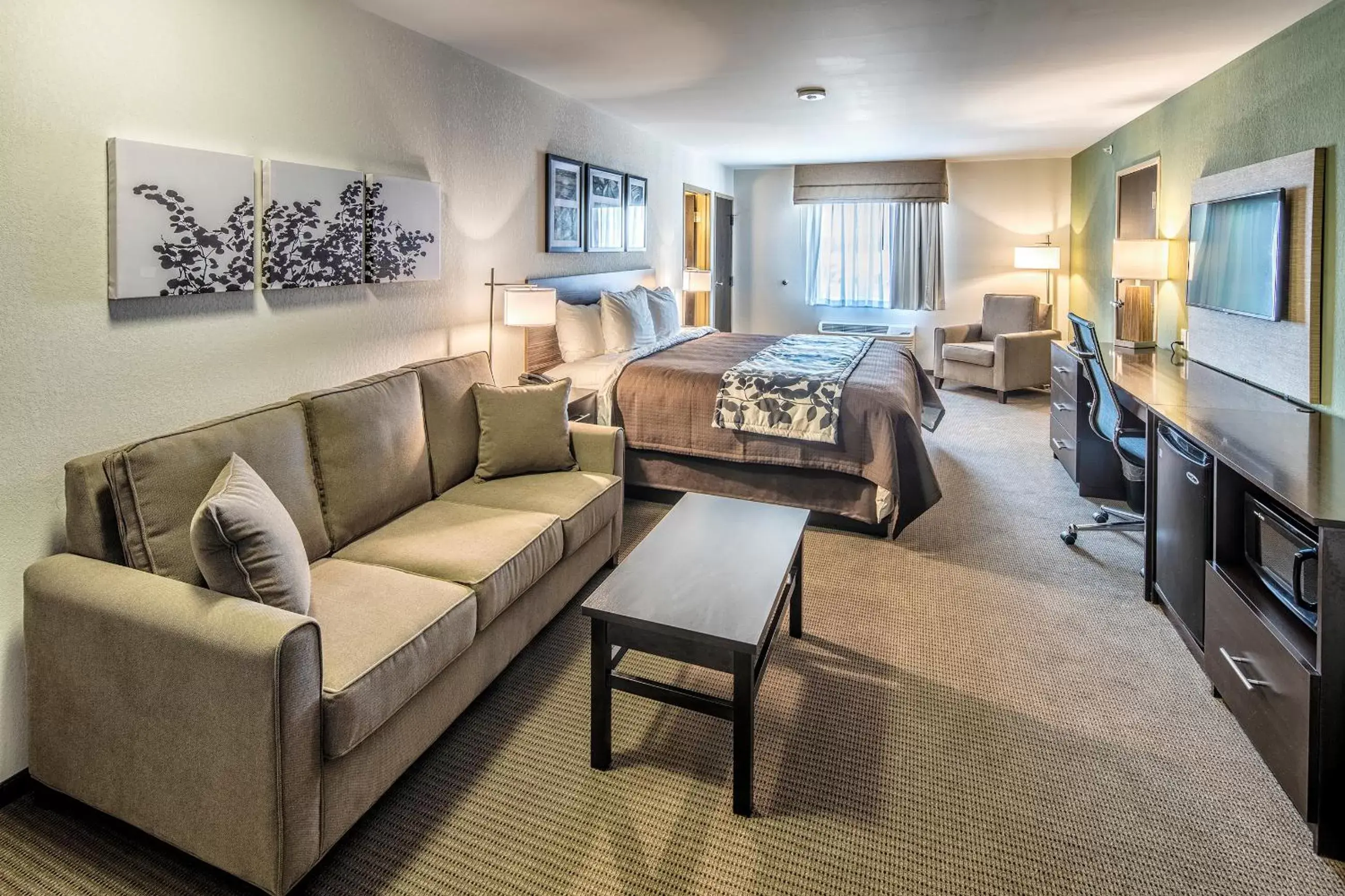 TV and multimedia, Room Photo in Sleep Inn & Suites East Syracuse