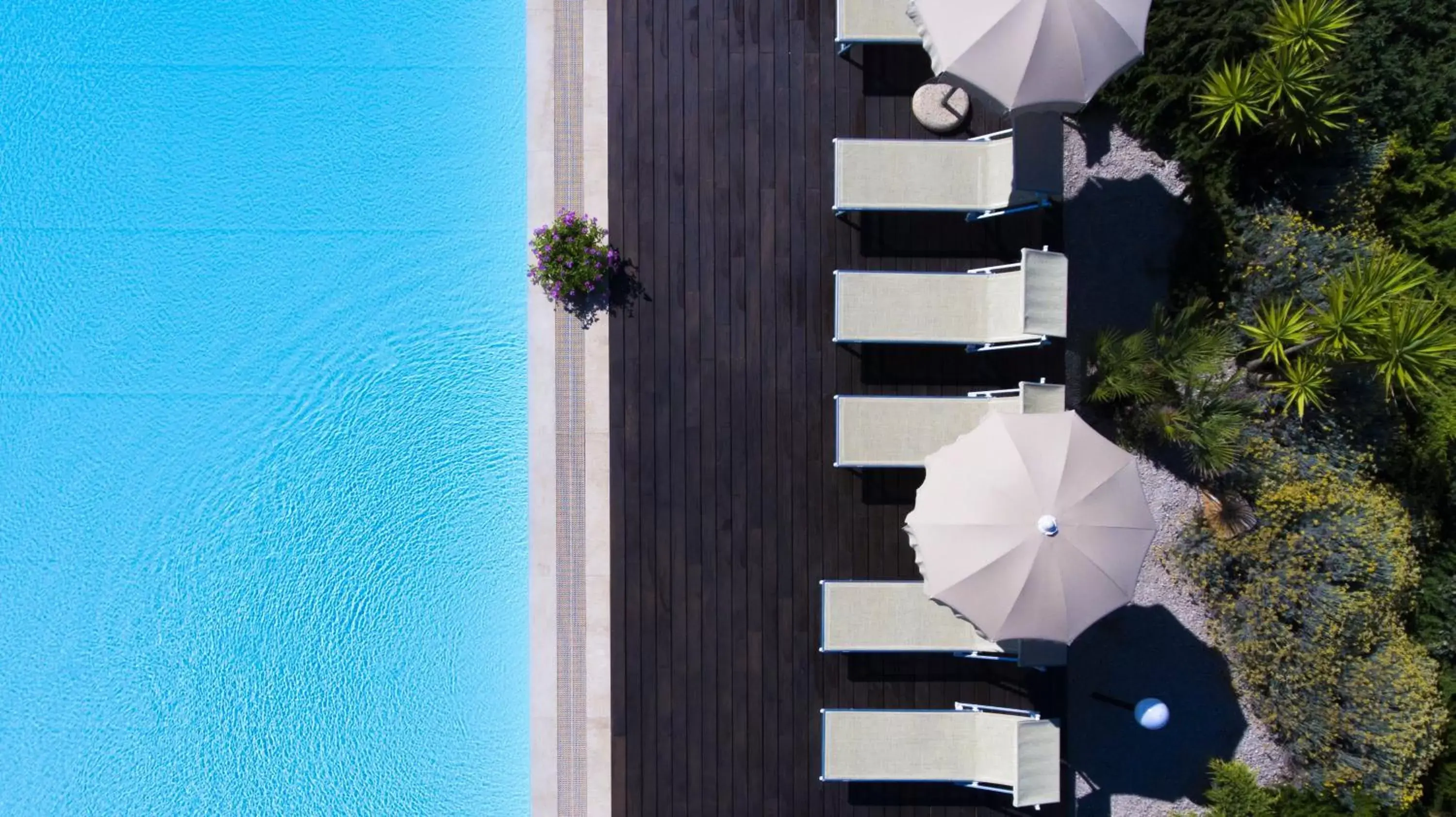 Swimming pool, Pool View in Hotel Dei Pini