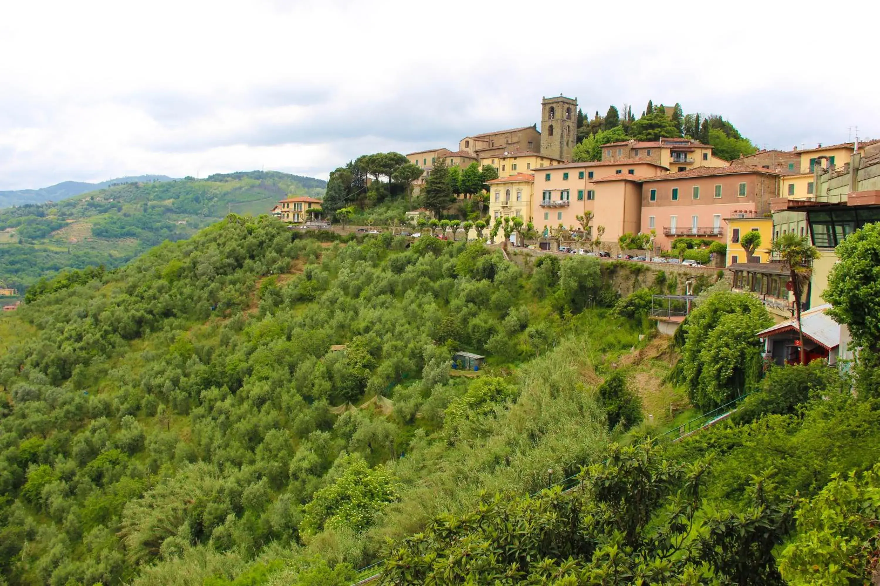 Nearby landmark in Hotel Cappelli