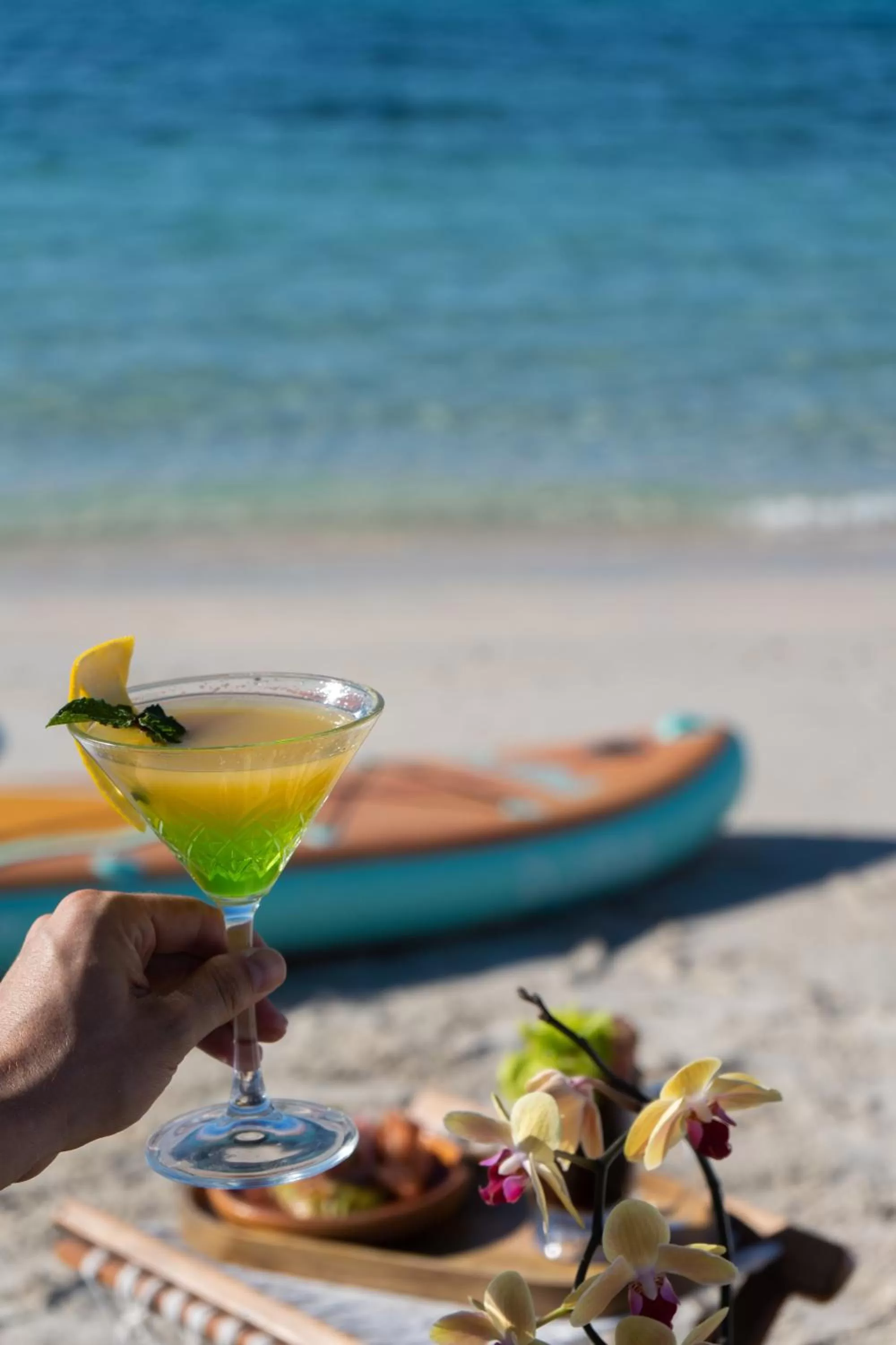 Food and drinks in Orchid House Baja