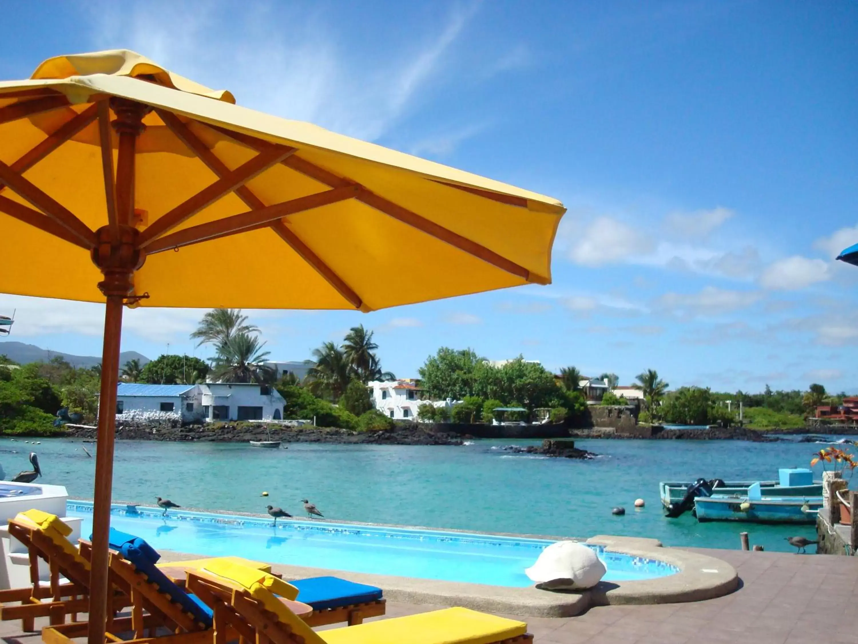 View (from property/room), Swimming Pool in Hotel Solymar