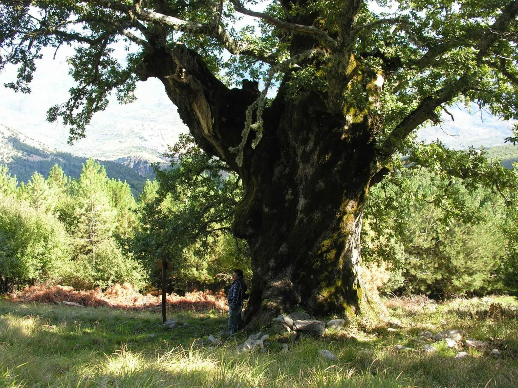 Hotel Paradiso Delle Madonie