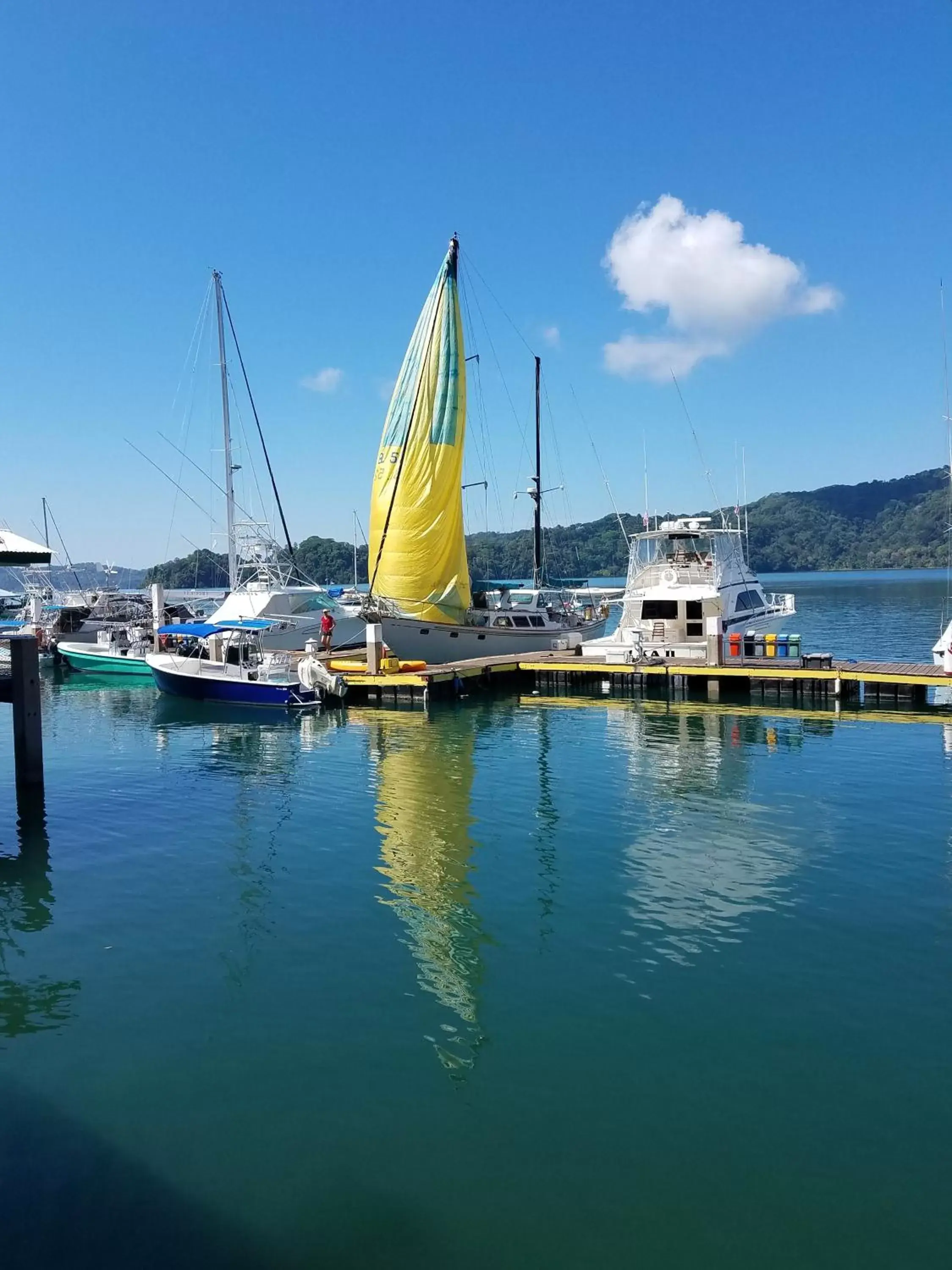 Windsurfing in Banana Bay Marina