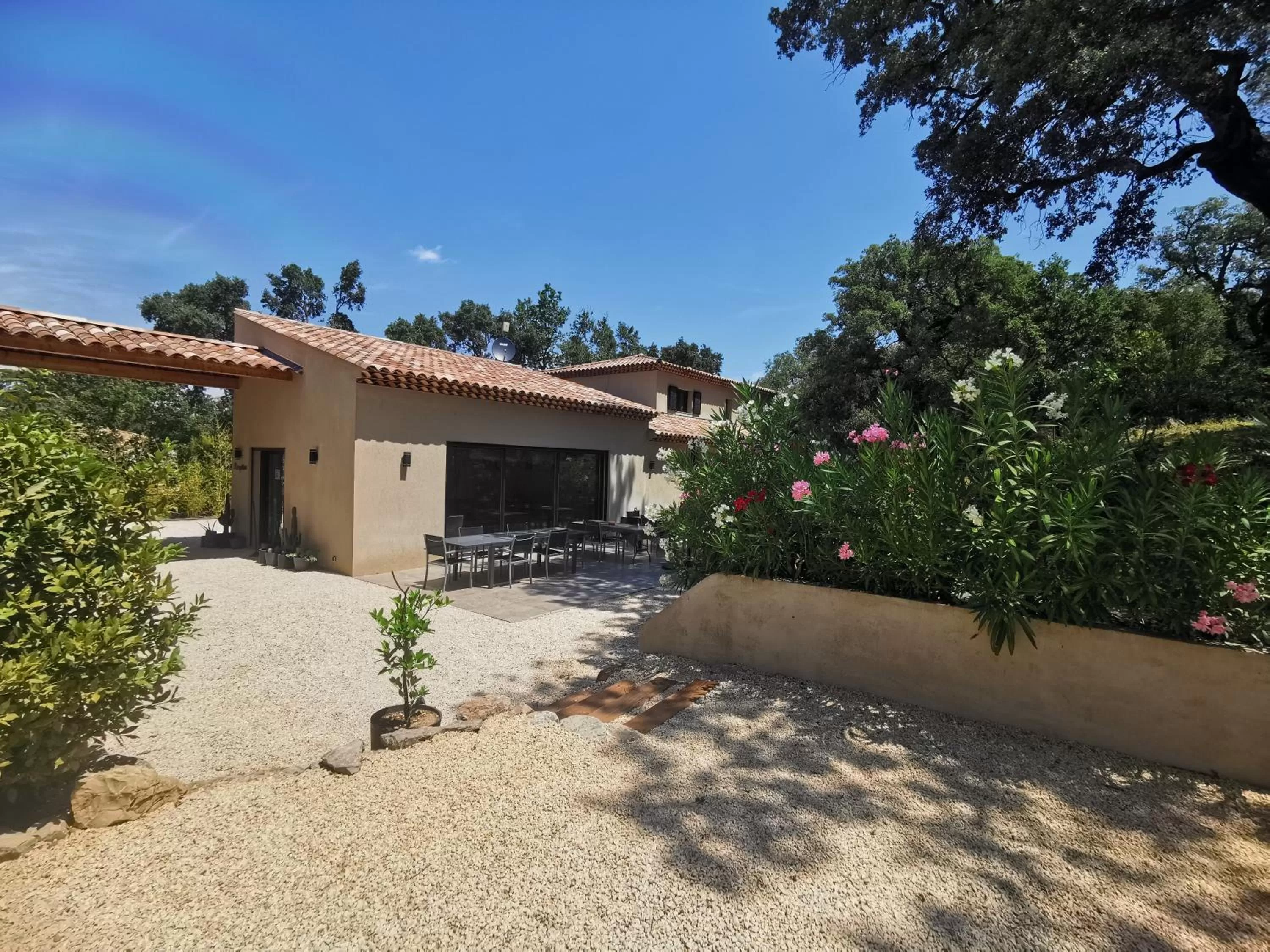 Garden in Villa Saona