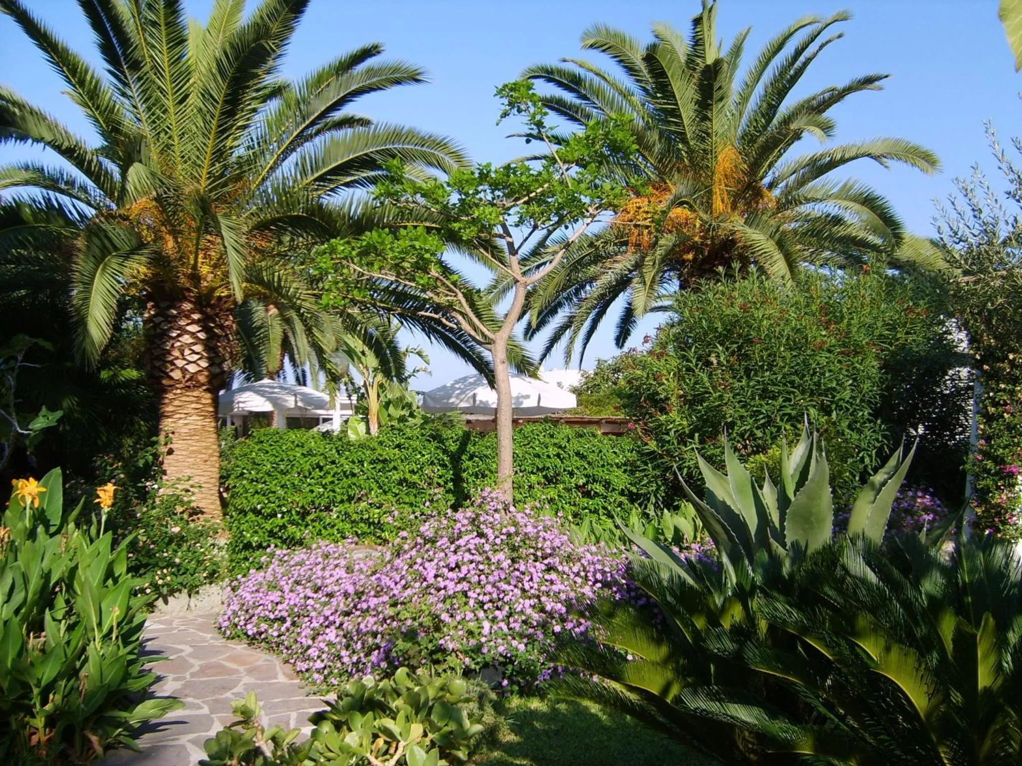 Garden in Semiramis Hotel De Charme & Pools