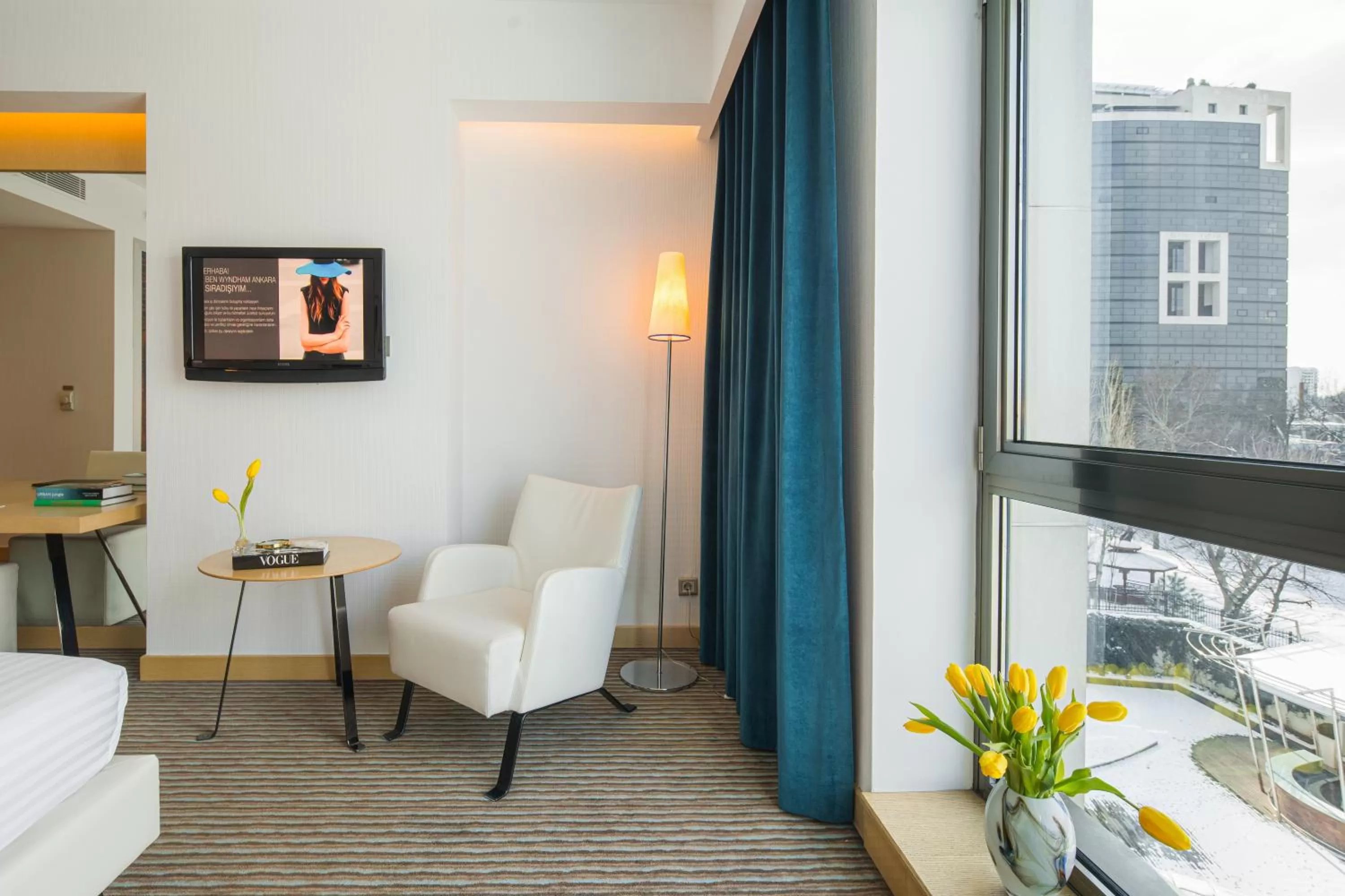 TV and multimedia in Wyndham Ankara