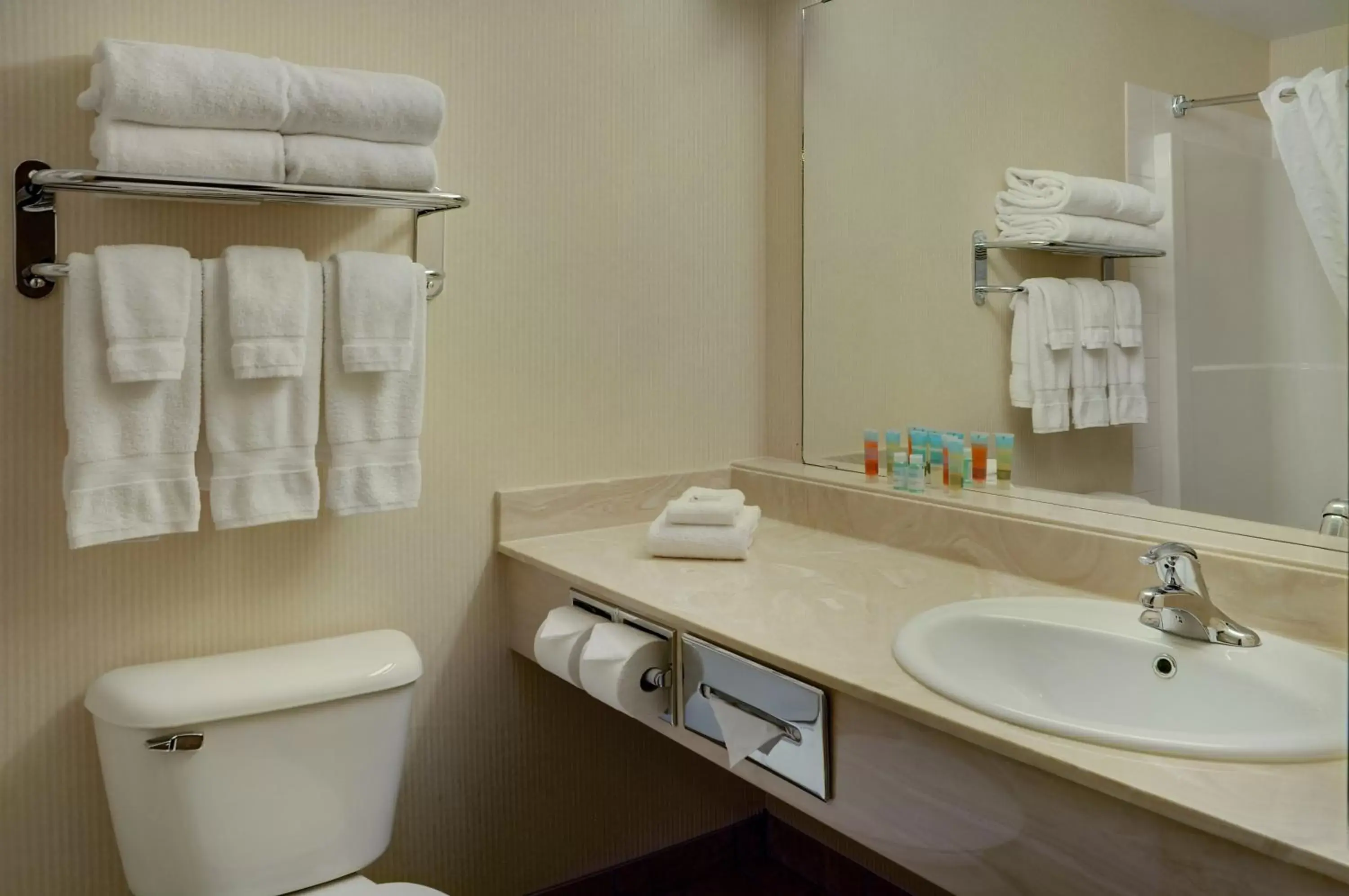 Bathroom in Pomeroy Inn & Suites at Olds College