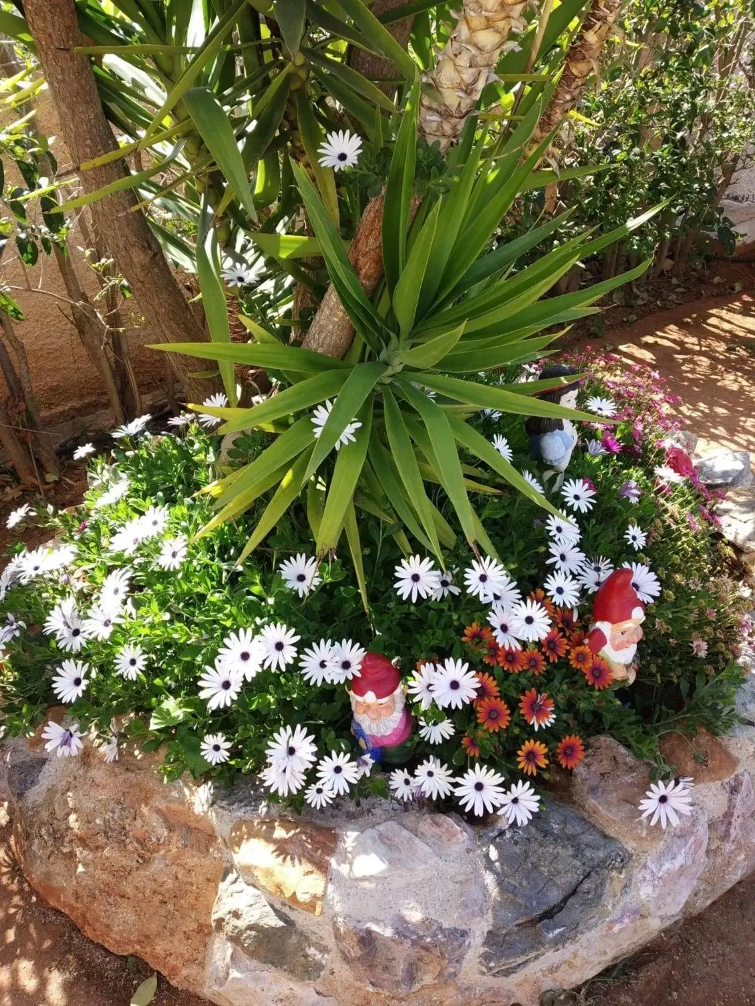 Garden in Angelina's Home