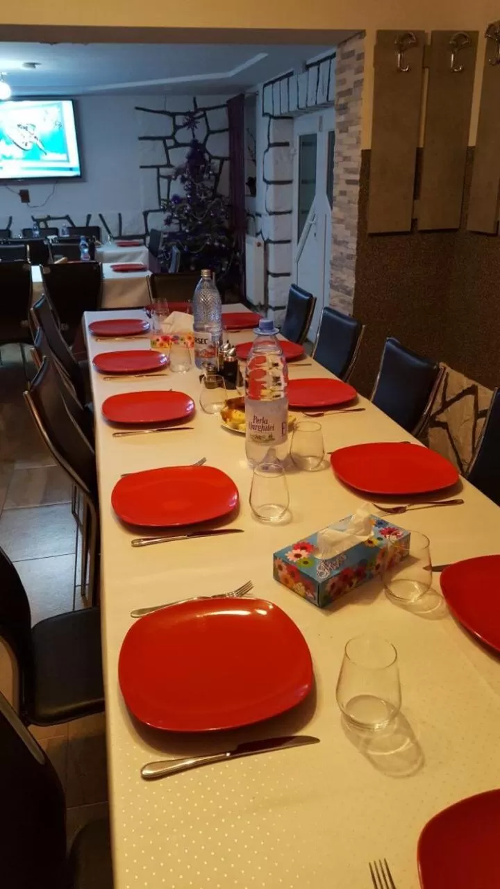 TV and multimedia, Restaurant/Places to Eat in Pensiunea SilvAnka