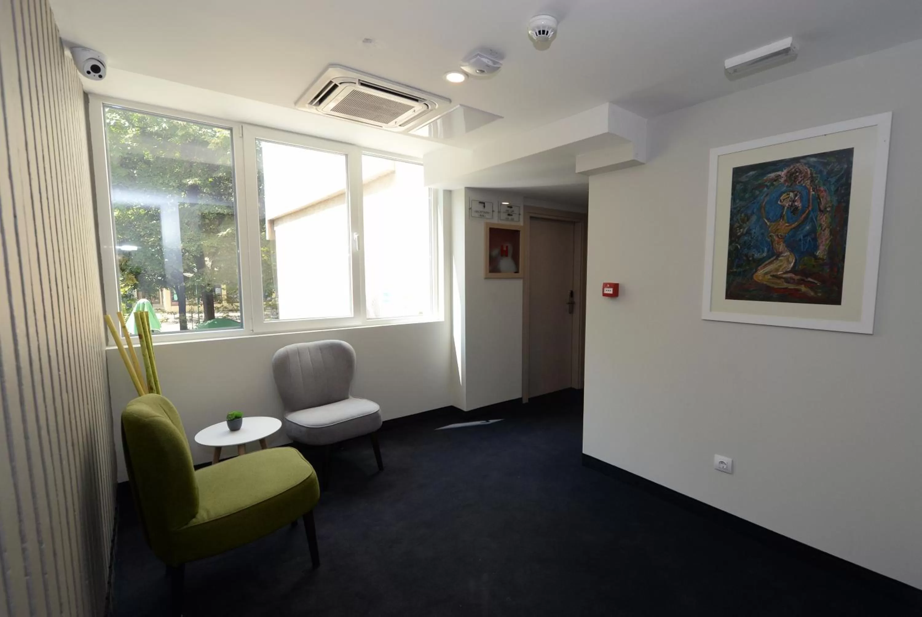 Decorative detail in Hotel Alexandar II