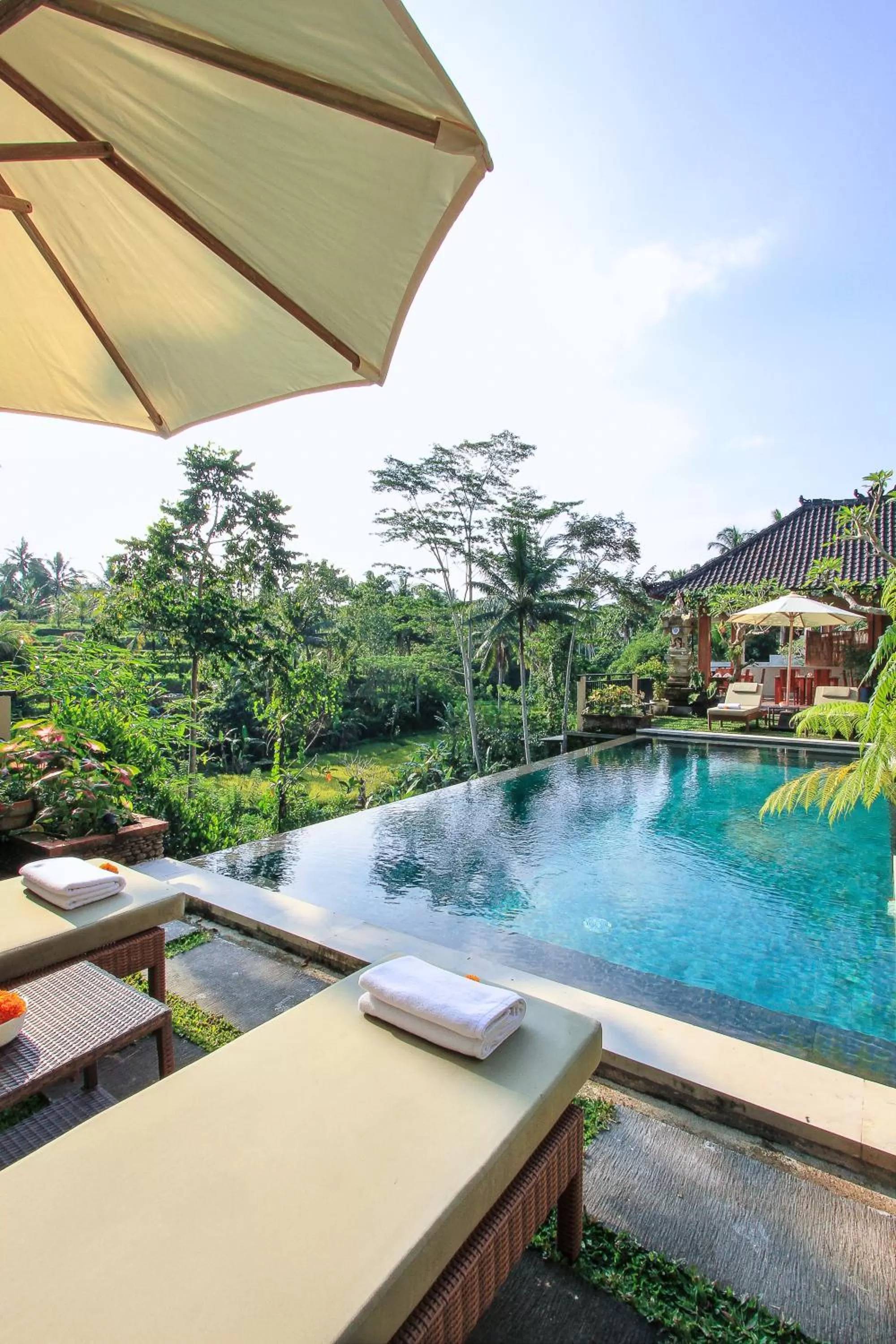 Natural landscape in Nata Ubud