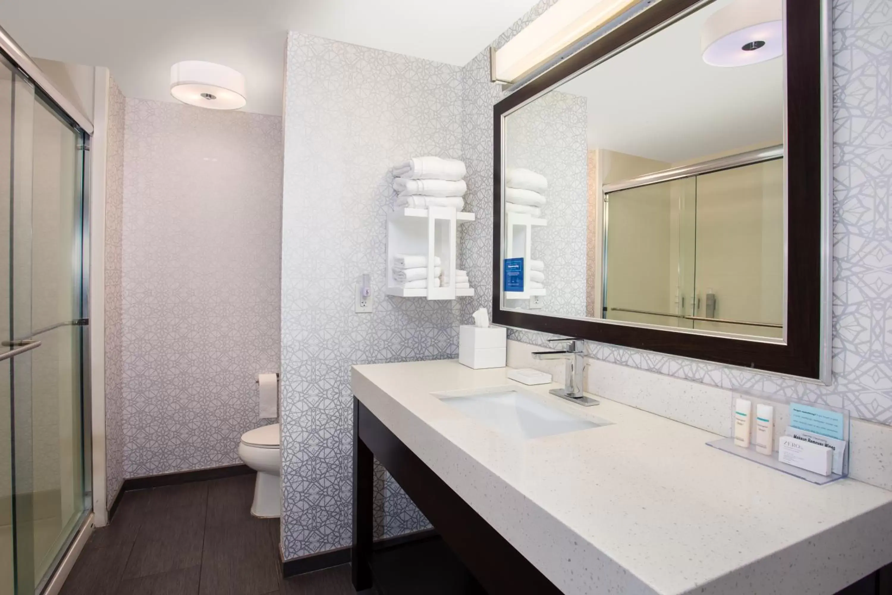 Bathroom in Hampton Inn & Suites Columbia/Southeast-Fort Jackson