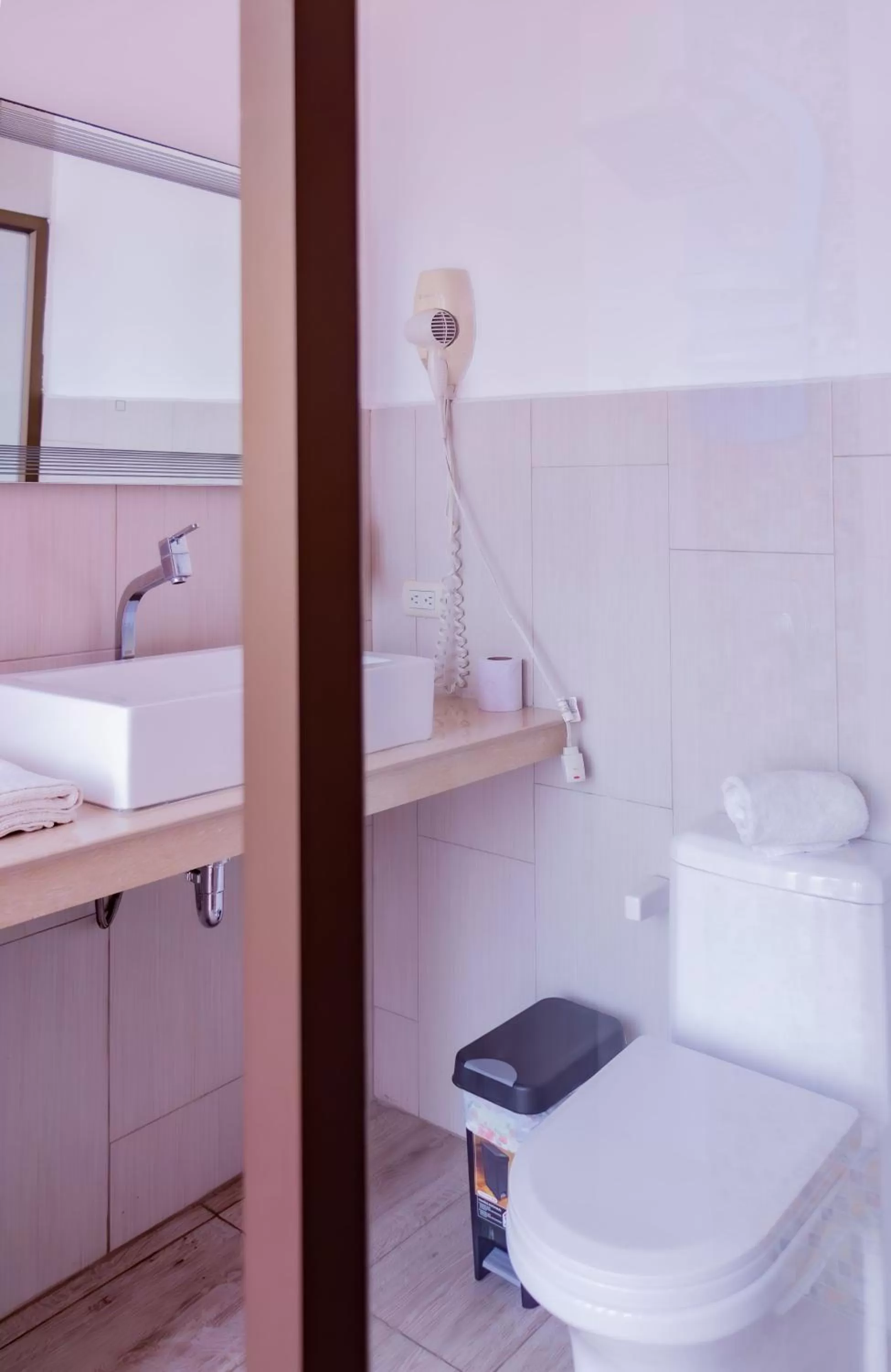 Toilet in Hostal Antares