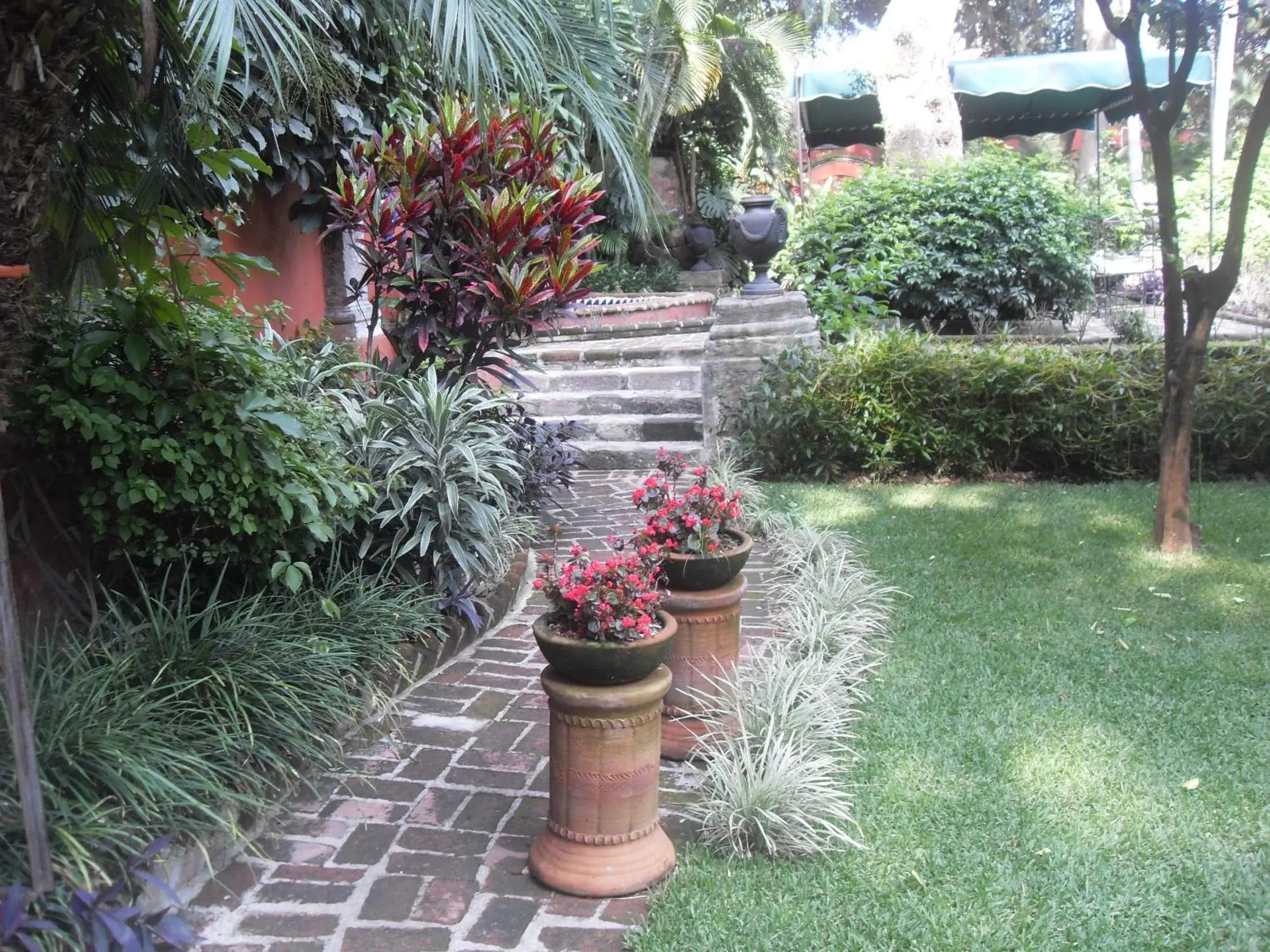 Other, Garden in Hotel & Spa Hacienda de Cort