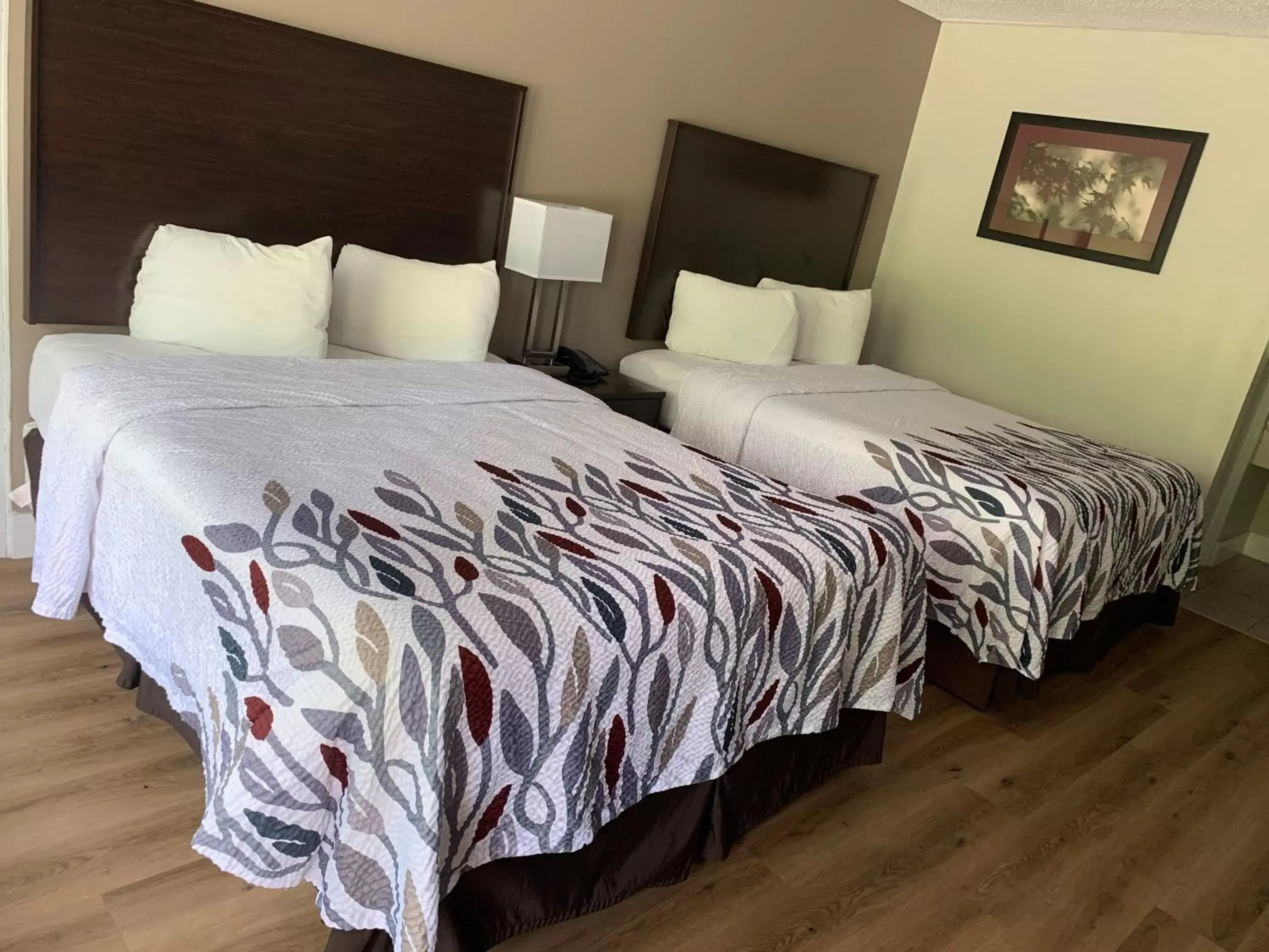 Bed in Red Roof Inn Clearfield