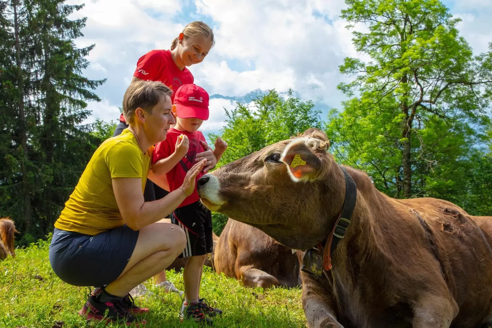 Hiking, Children in Sonne Bezau - Familotel Bregenzerwald