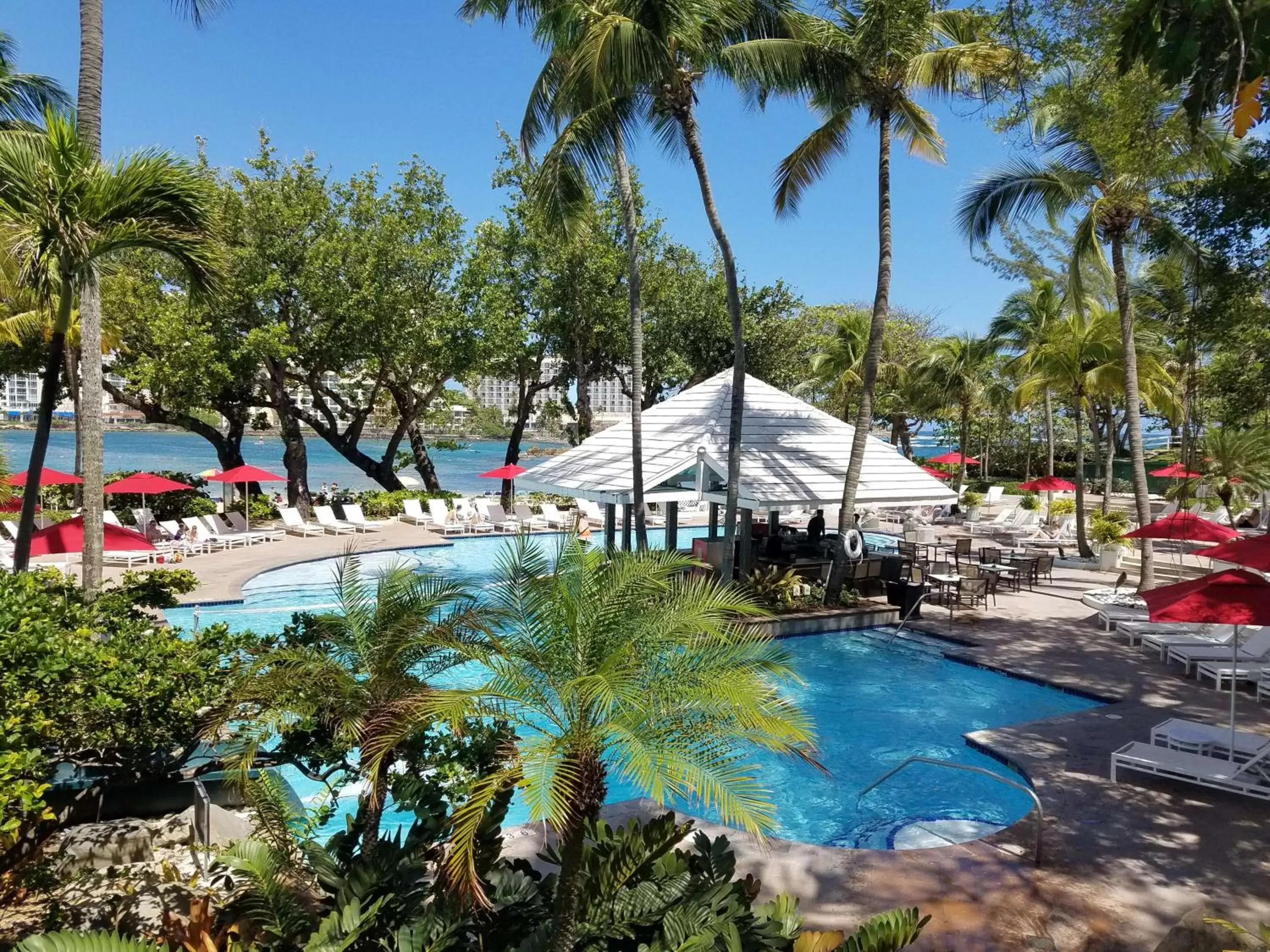 Pool View in The Condado Plaza Hilton
