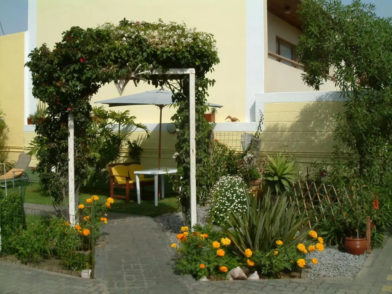 Garden view in Pension d'Avignon