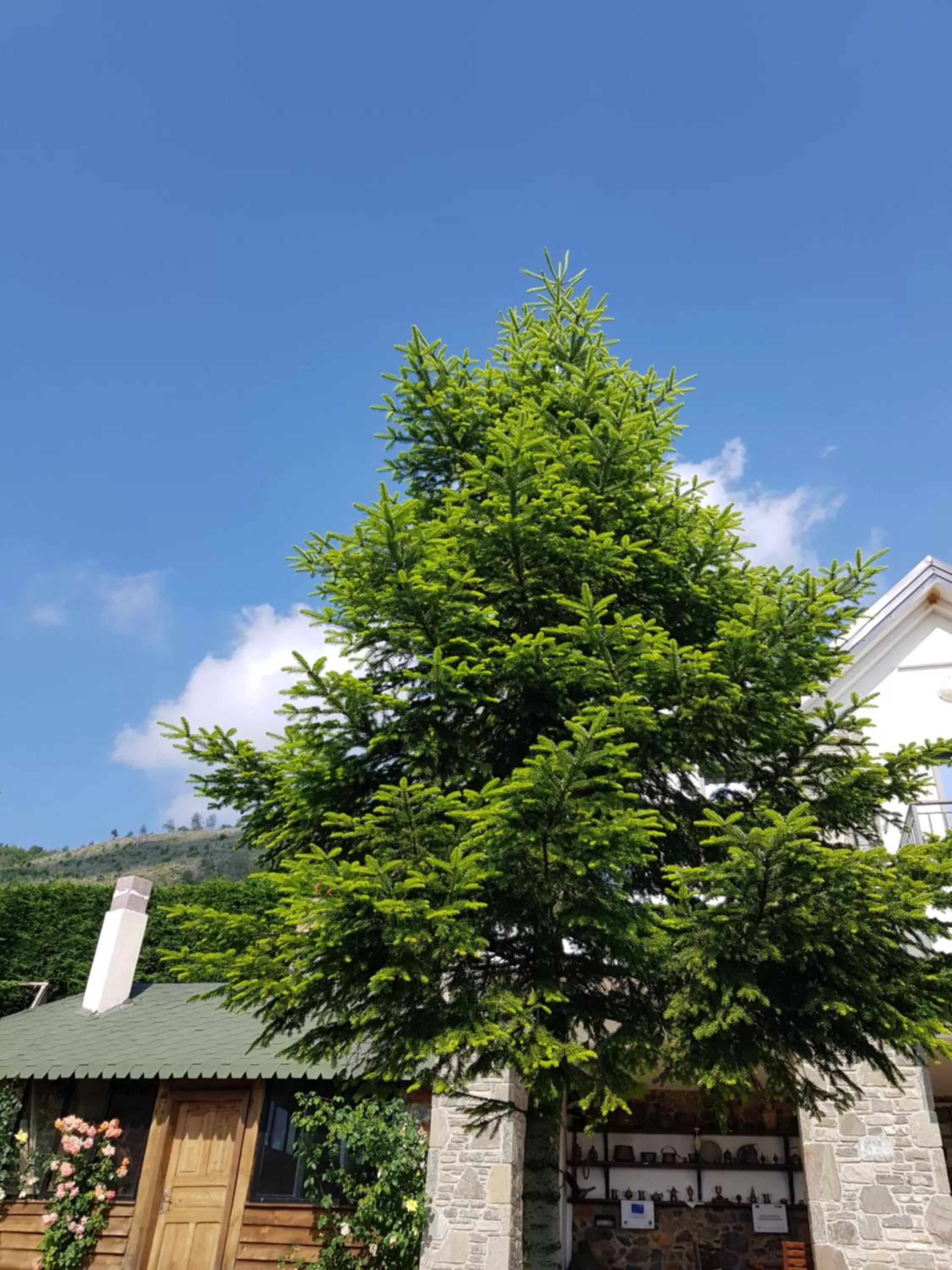 Property Building in Sofra E Shpatit