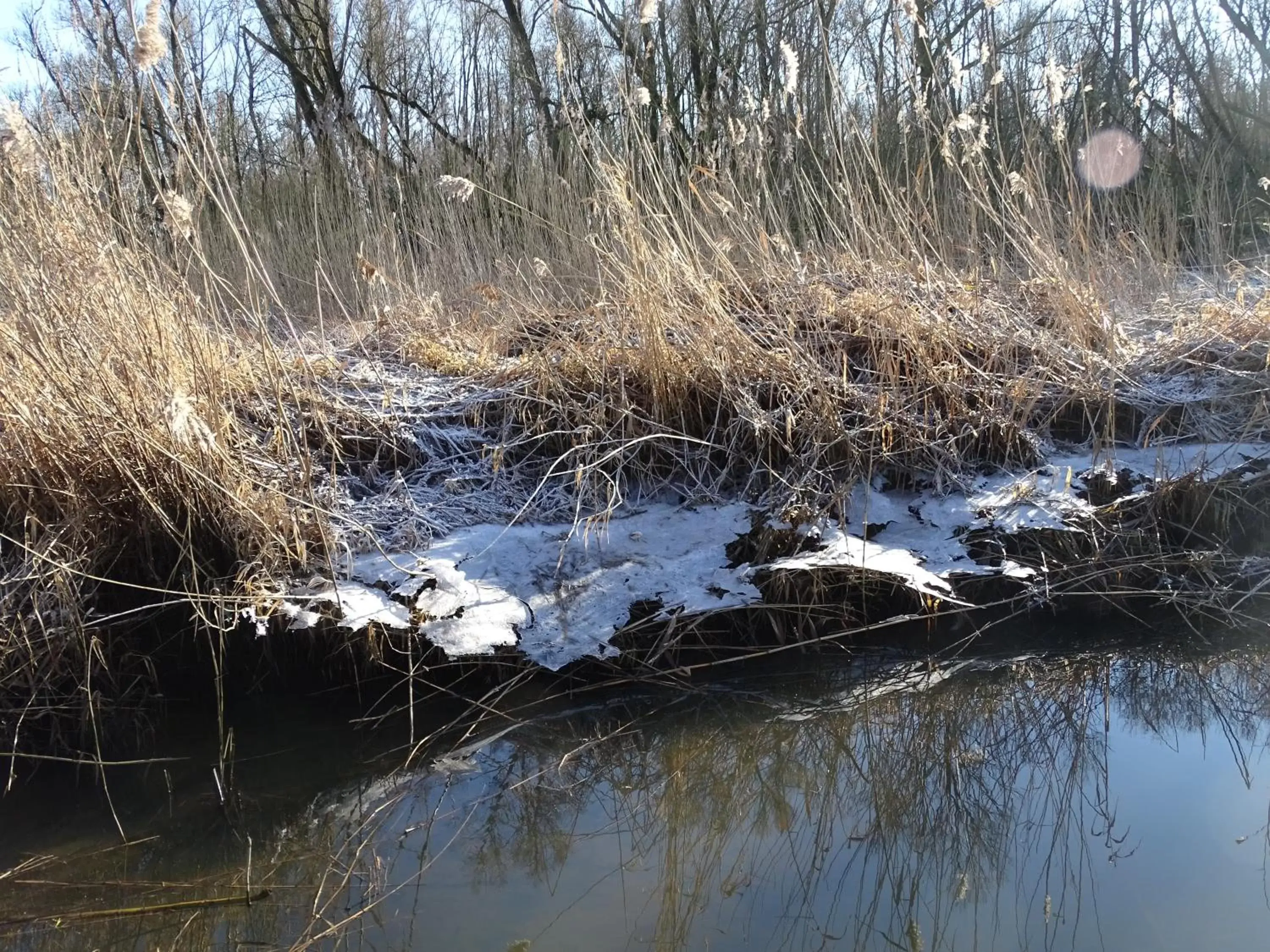 Winter in De Oude Stoffeerderij