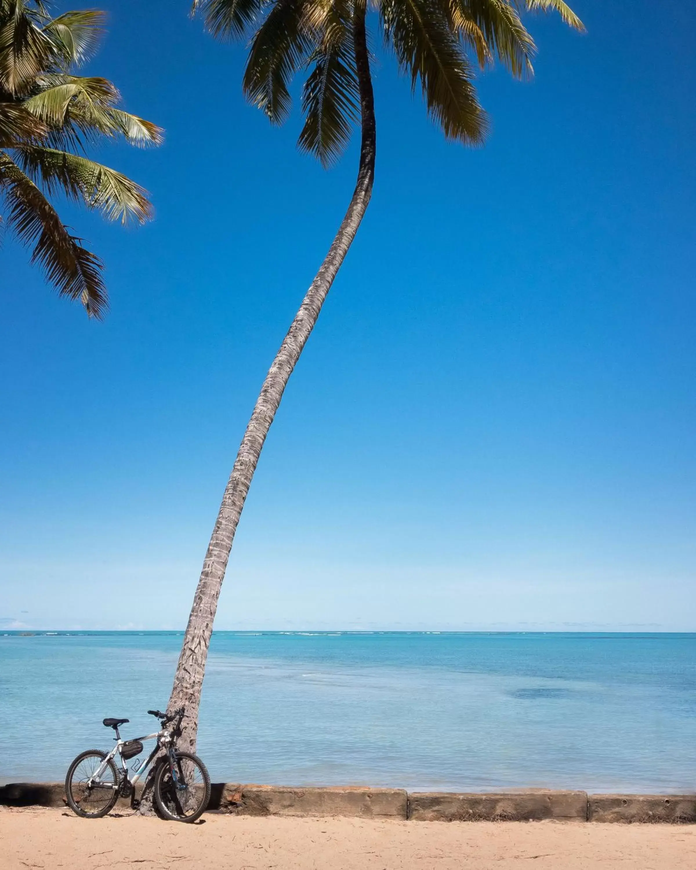 Natural landscape, Beach in Hotel Ciribaí