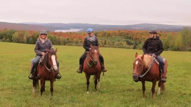 Horseback Riding in Le Gîte Ambrelane