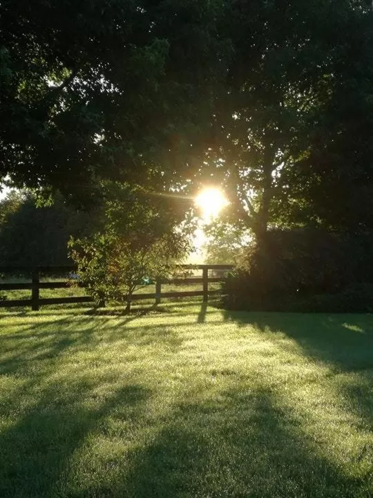 Garden in Conach House