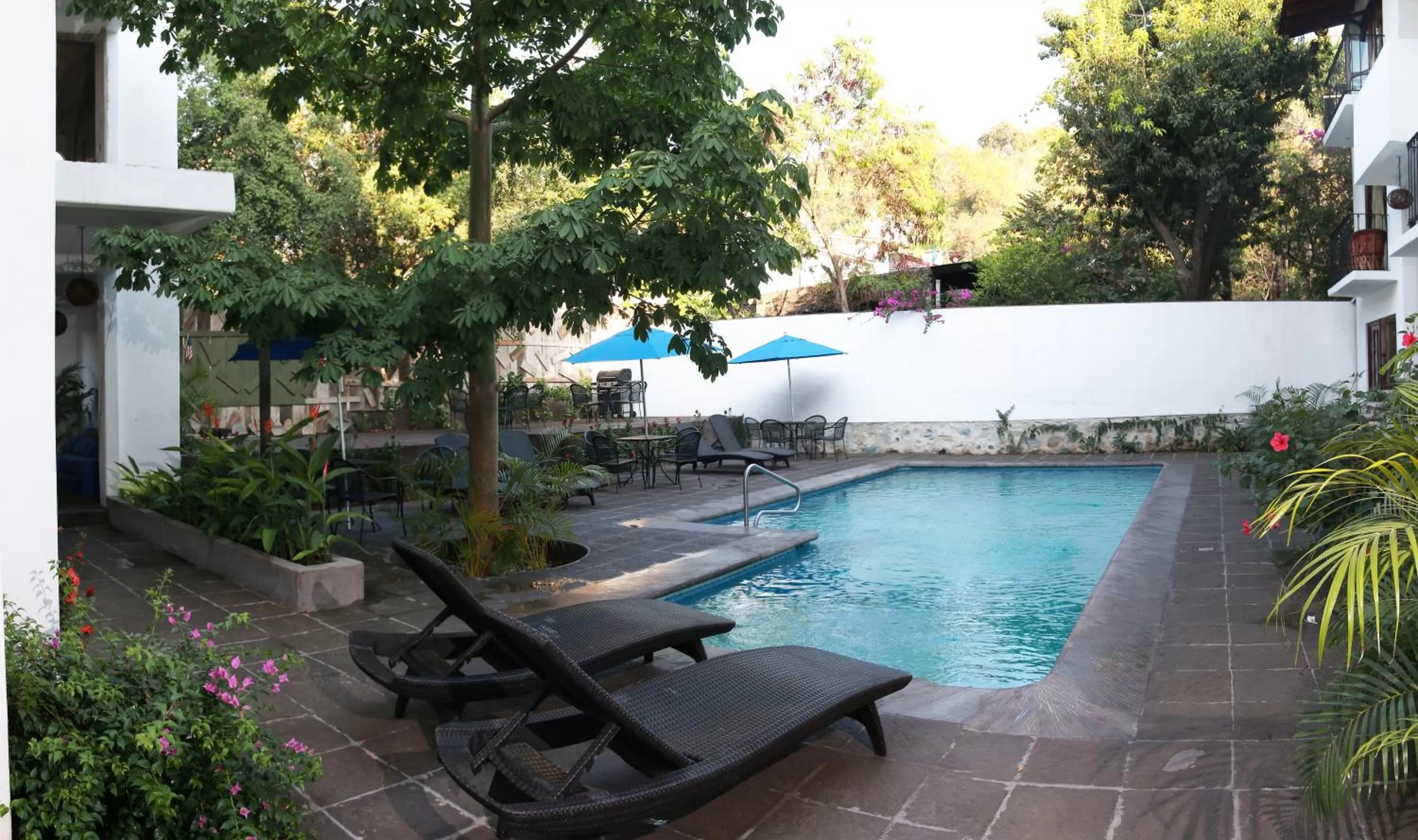 Garden in Ceiba Studios