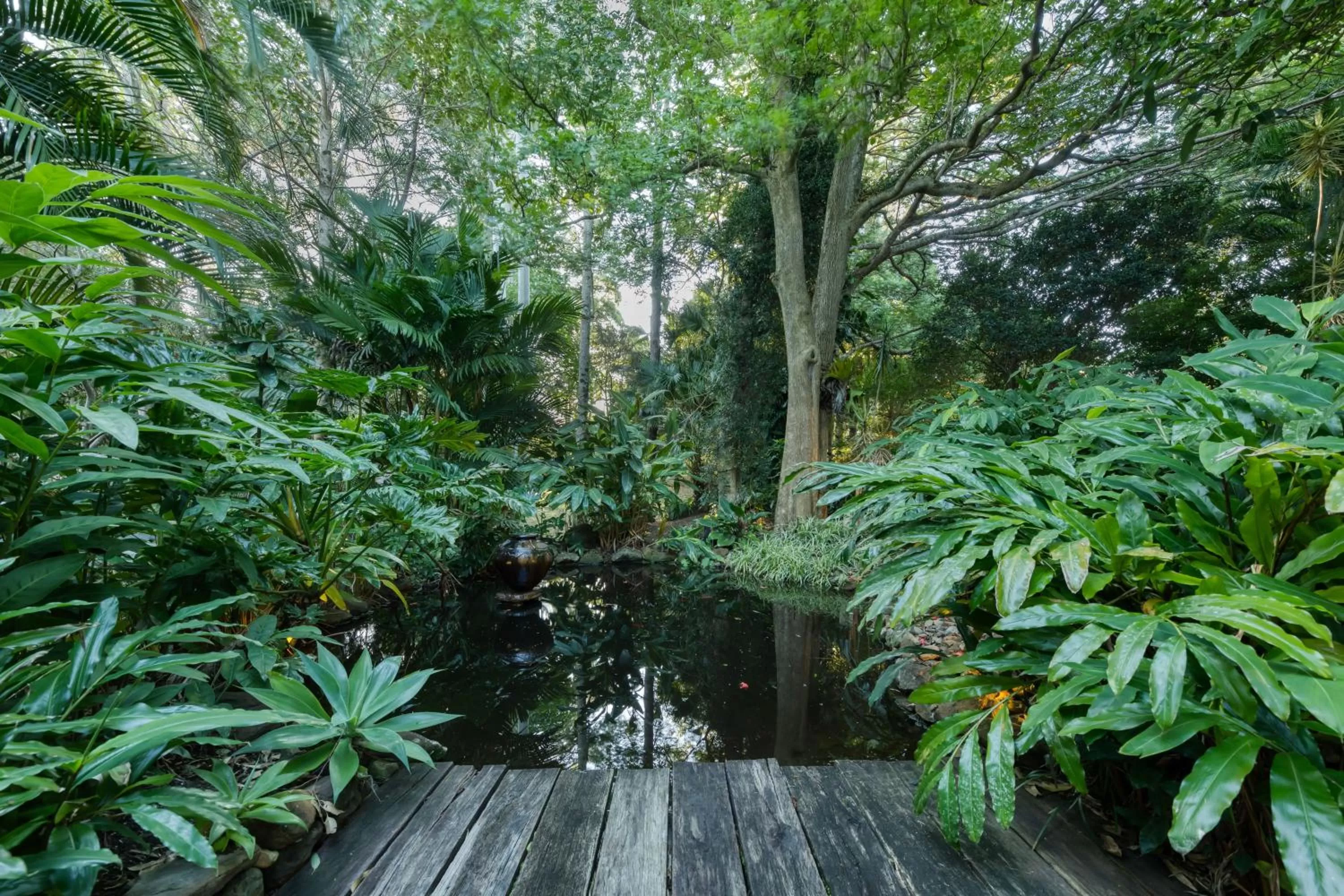 Garden in Taman Sari Sunshine Coast Romantic Pet-Friendly Hinterland Retreat