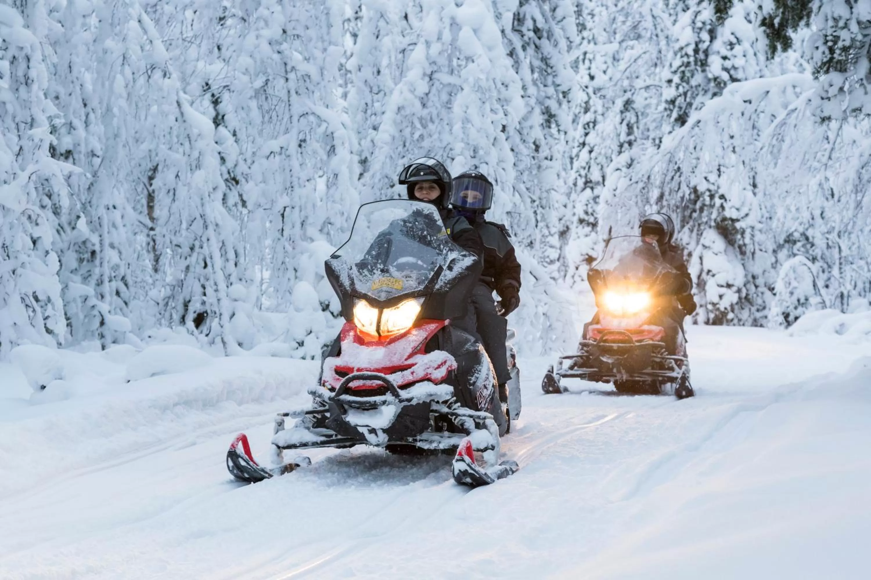 Natural landscape in Ranua Resort Holiday Villas