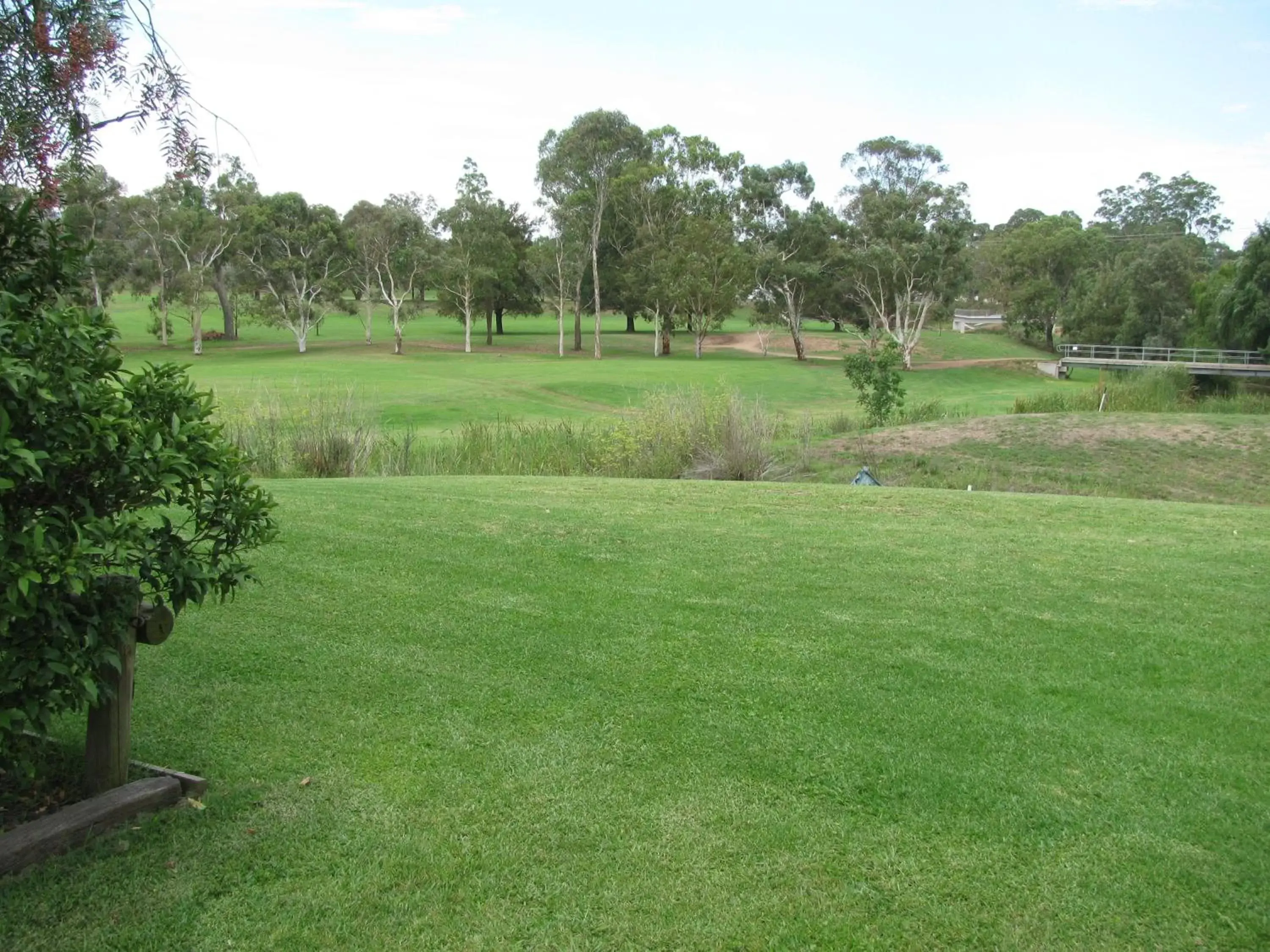 Area and facilities, Garden in The Wayfarer Motel