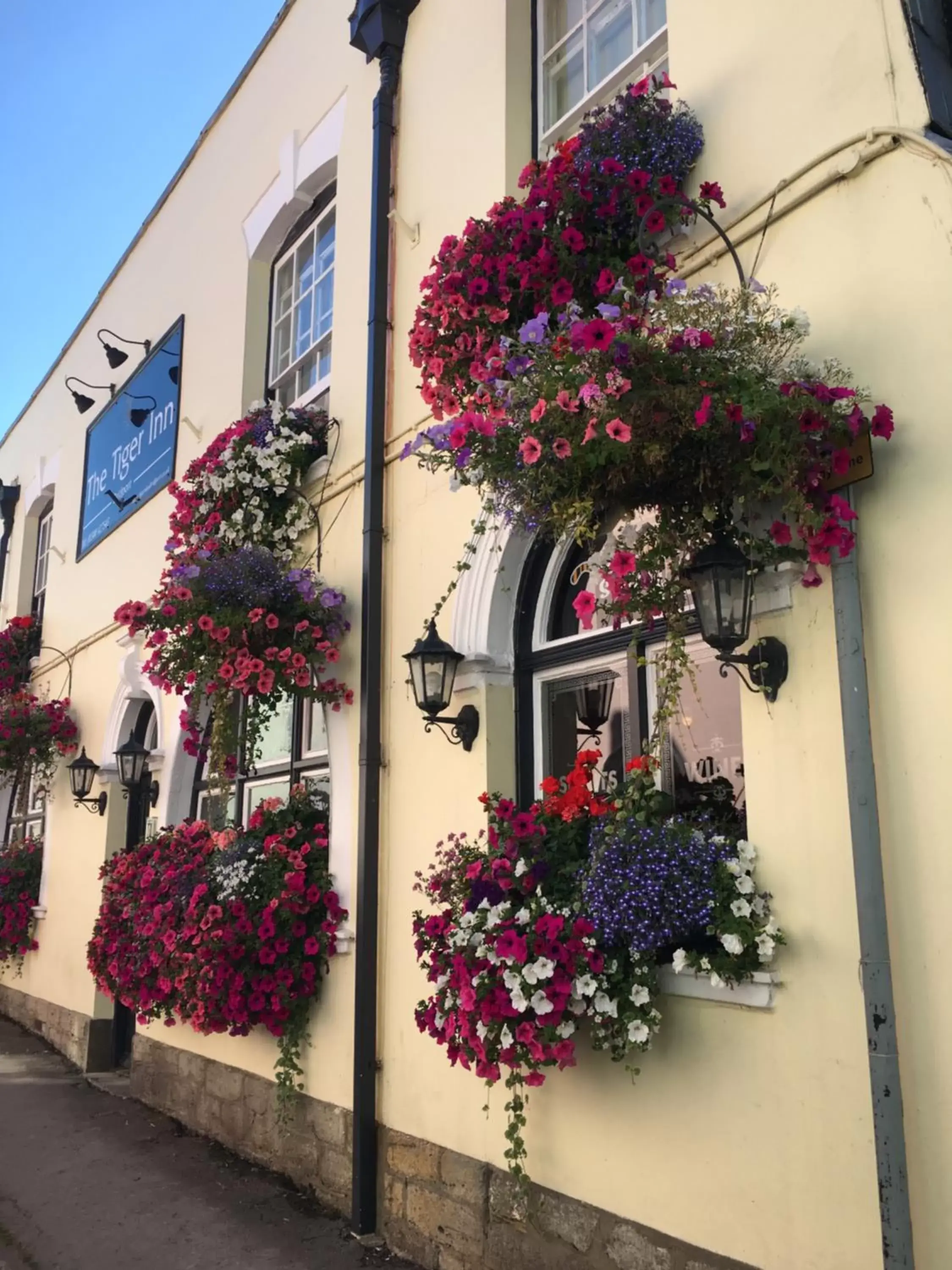 Property Building in tiger inn