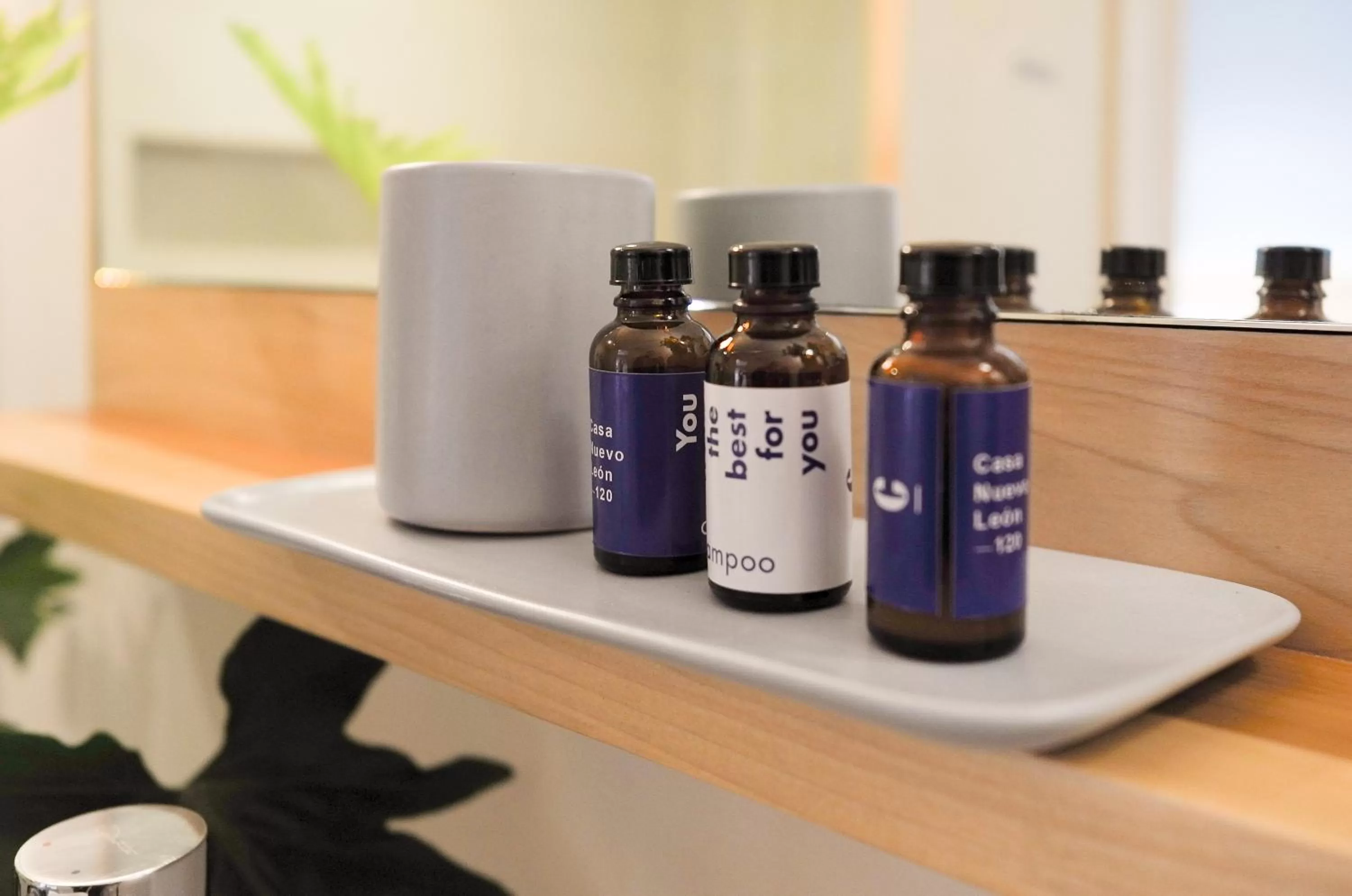 Bathroom in Casa Nuevo Leon