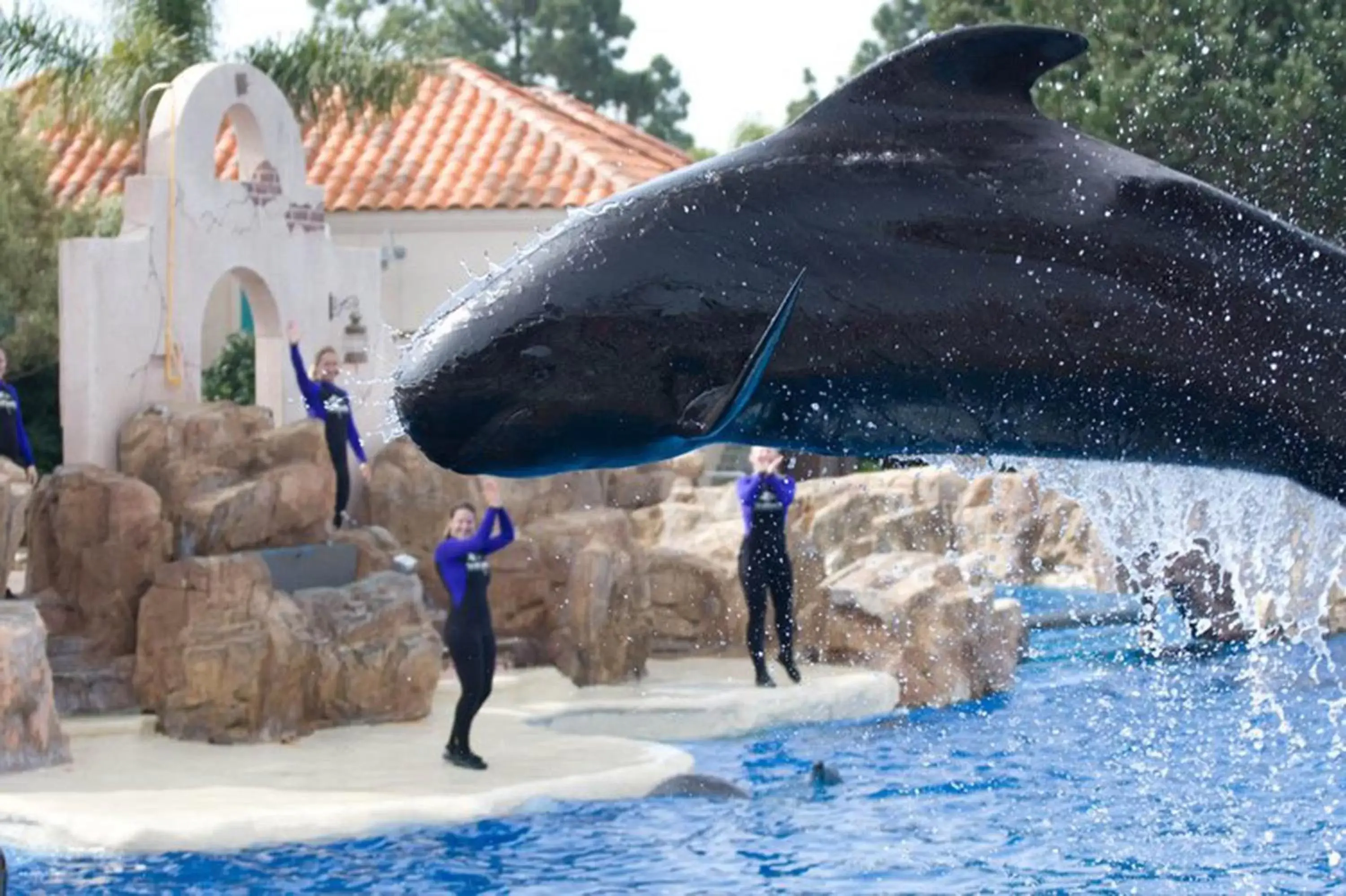 Area and facilities in Holiday Inn Express San Diego SeaWorld, an IHG Hotel