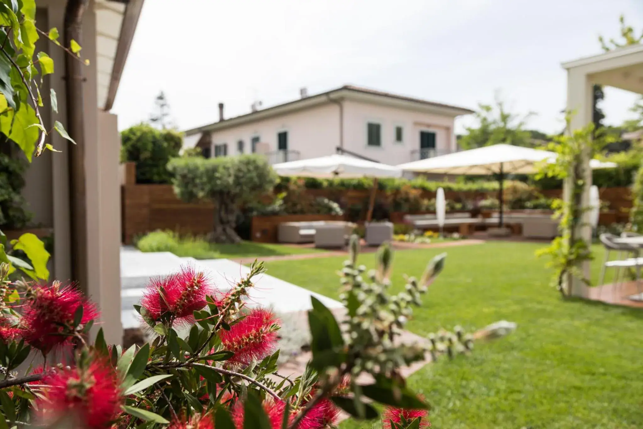 Garden in Hotel Luna