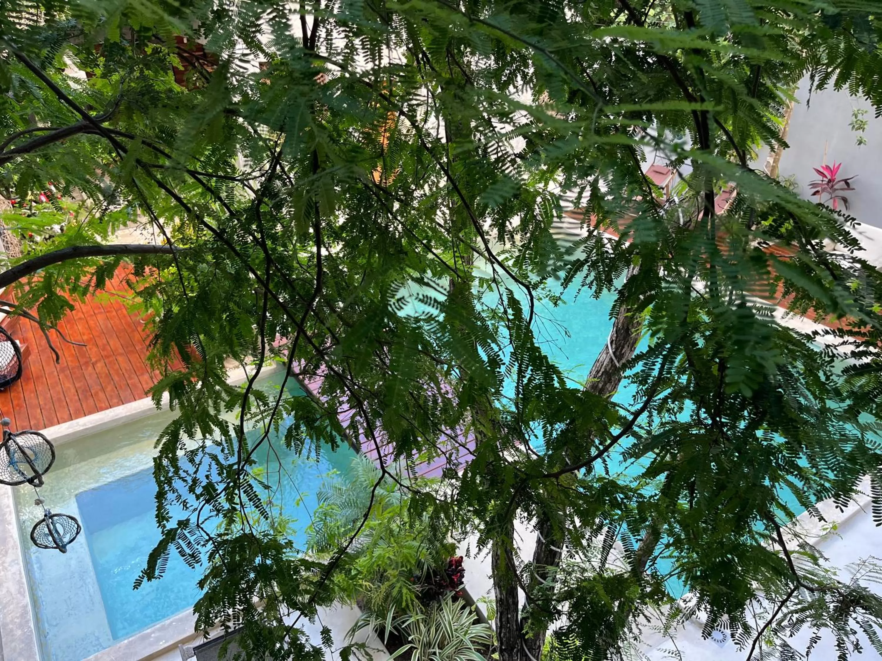 Pool view in Little Gem Hotel Tulum La Veleta