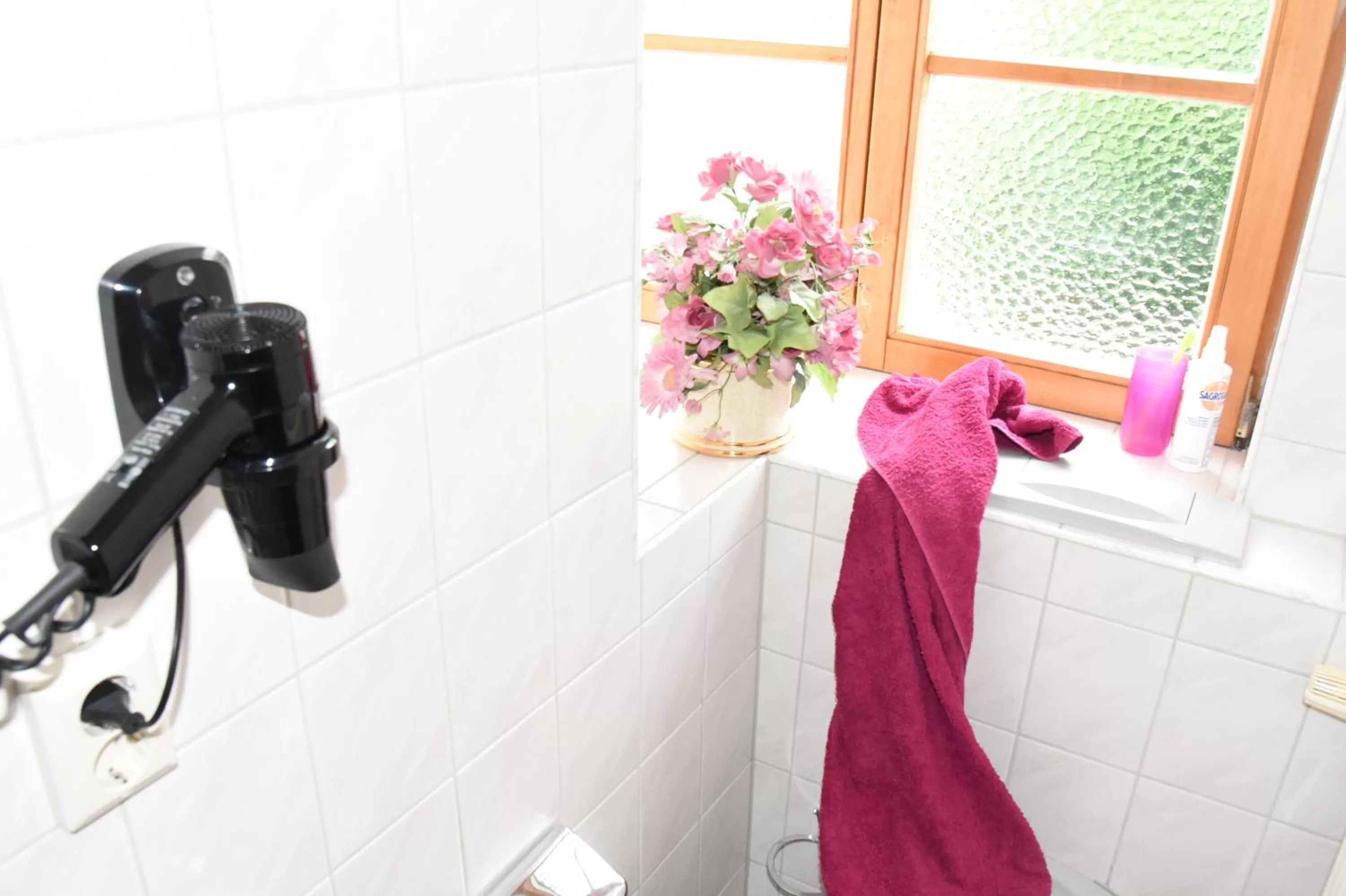 Bathroom in Theresenhof