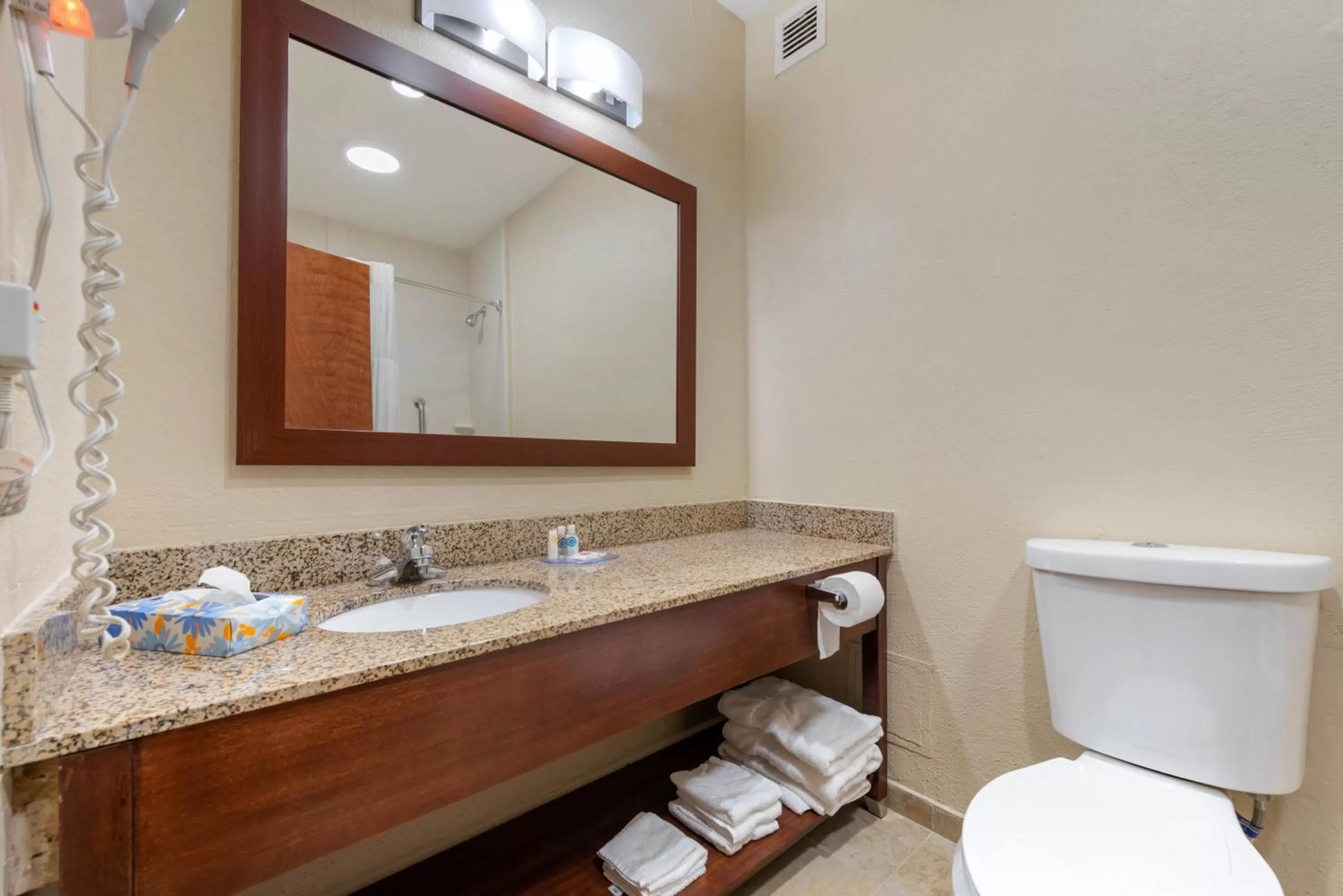 Toilet in Comfort Inn & Suites