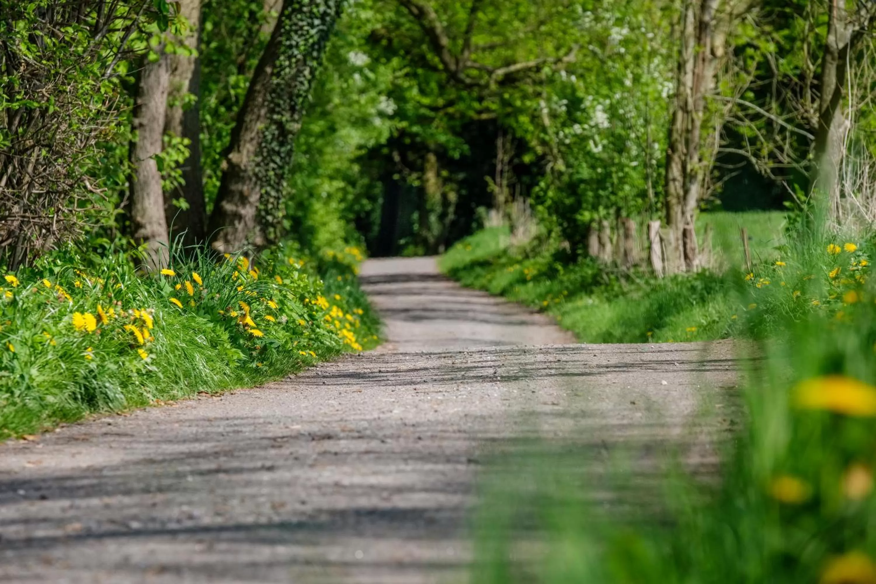Natural landscape in Romantik Hotel Jagdhaus Eiden am See
