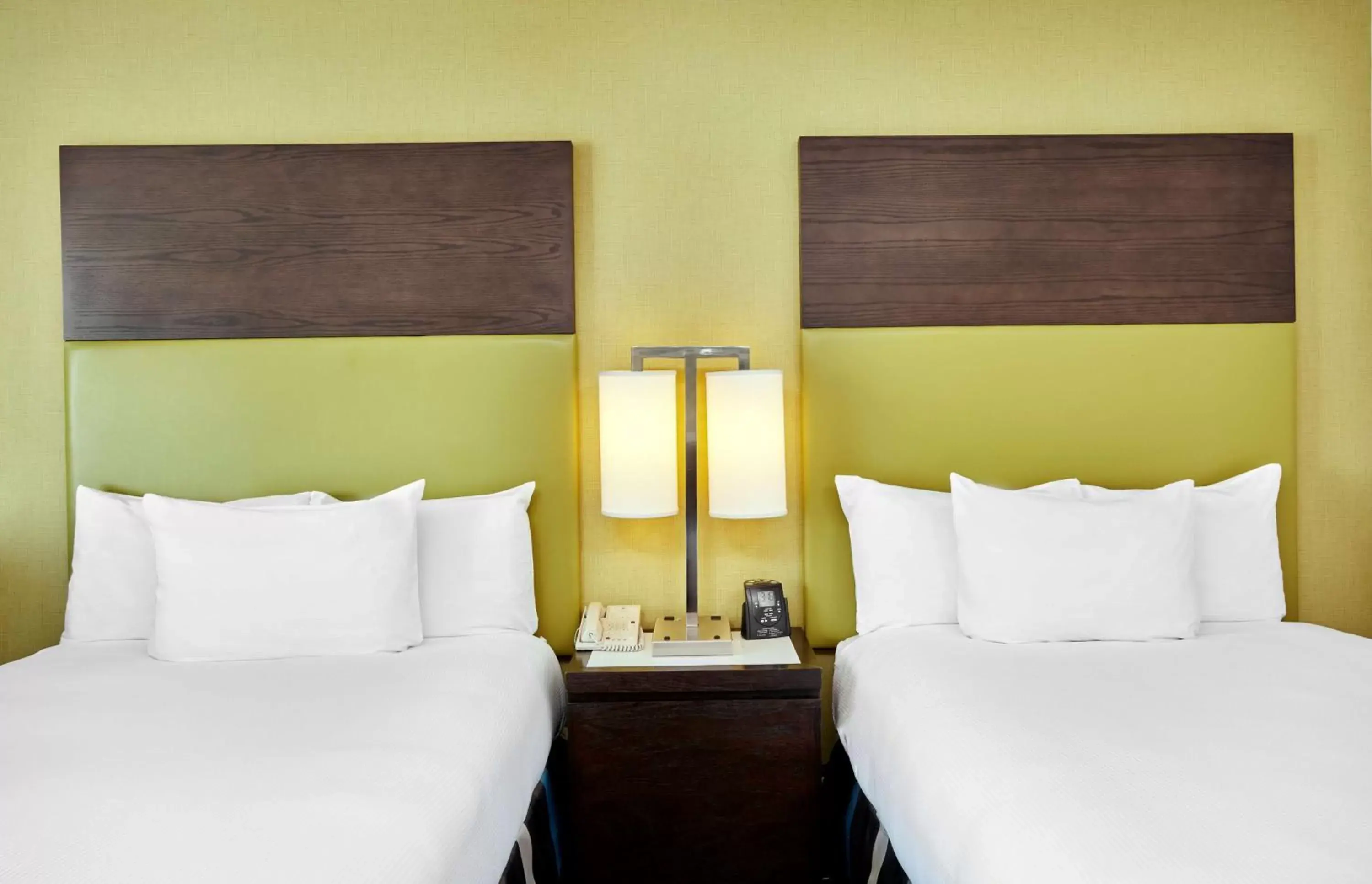 Double Room - Non-Smoking in DoubleTree by Hilton Charlotte Gateway Village Double Room - Non-Smoking in DoubleTree by Hilton Charlotte Gateway Village