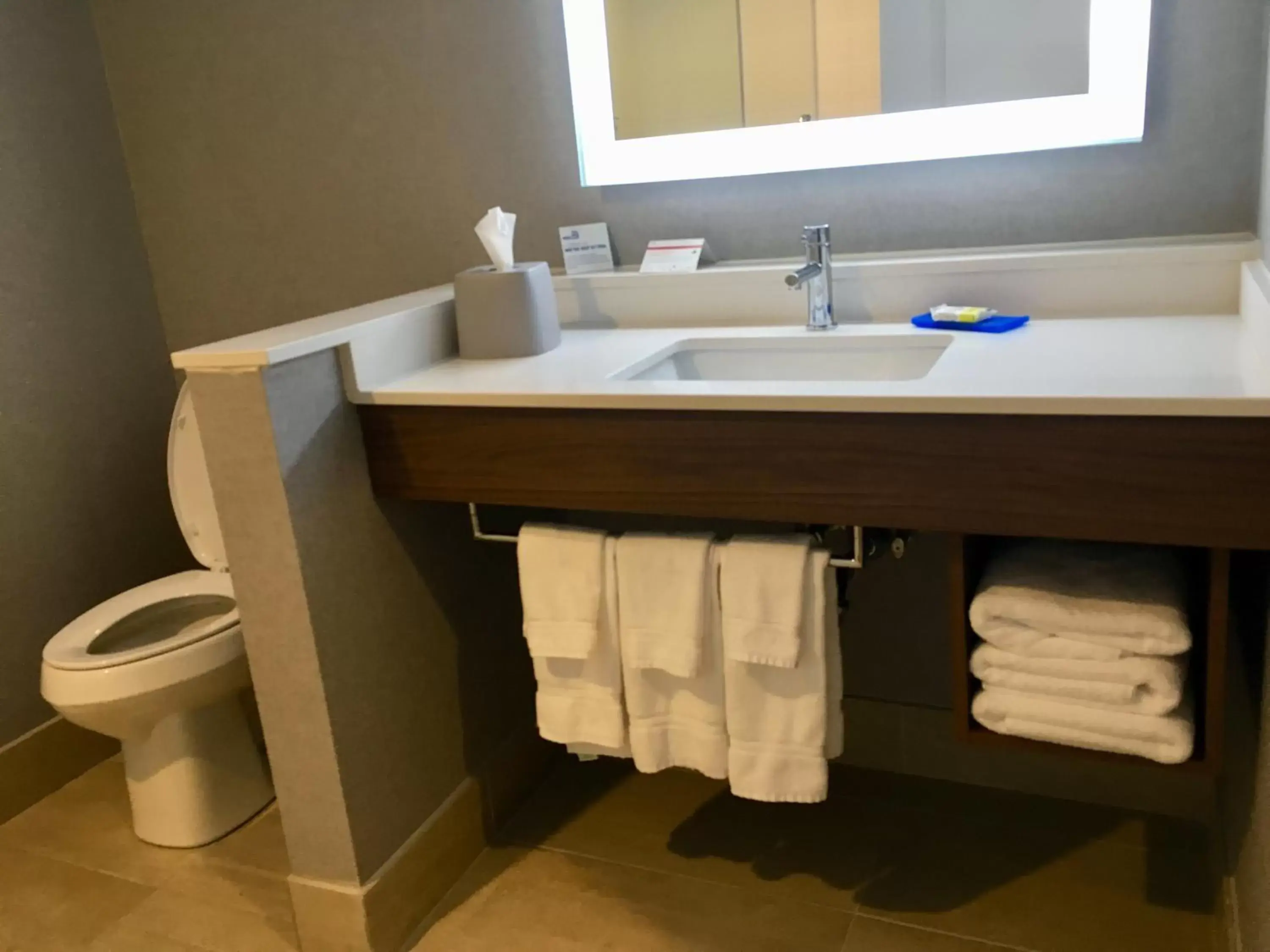 Bathroom in Holiday Inn Express - Grand Island, an IHG Hotel