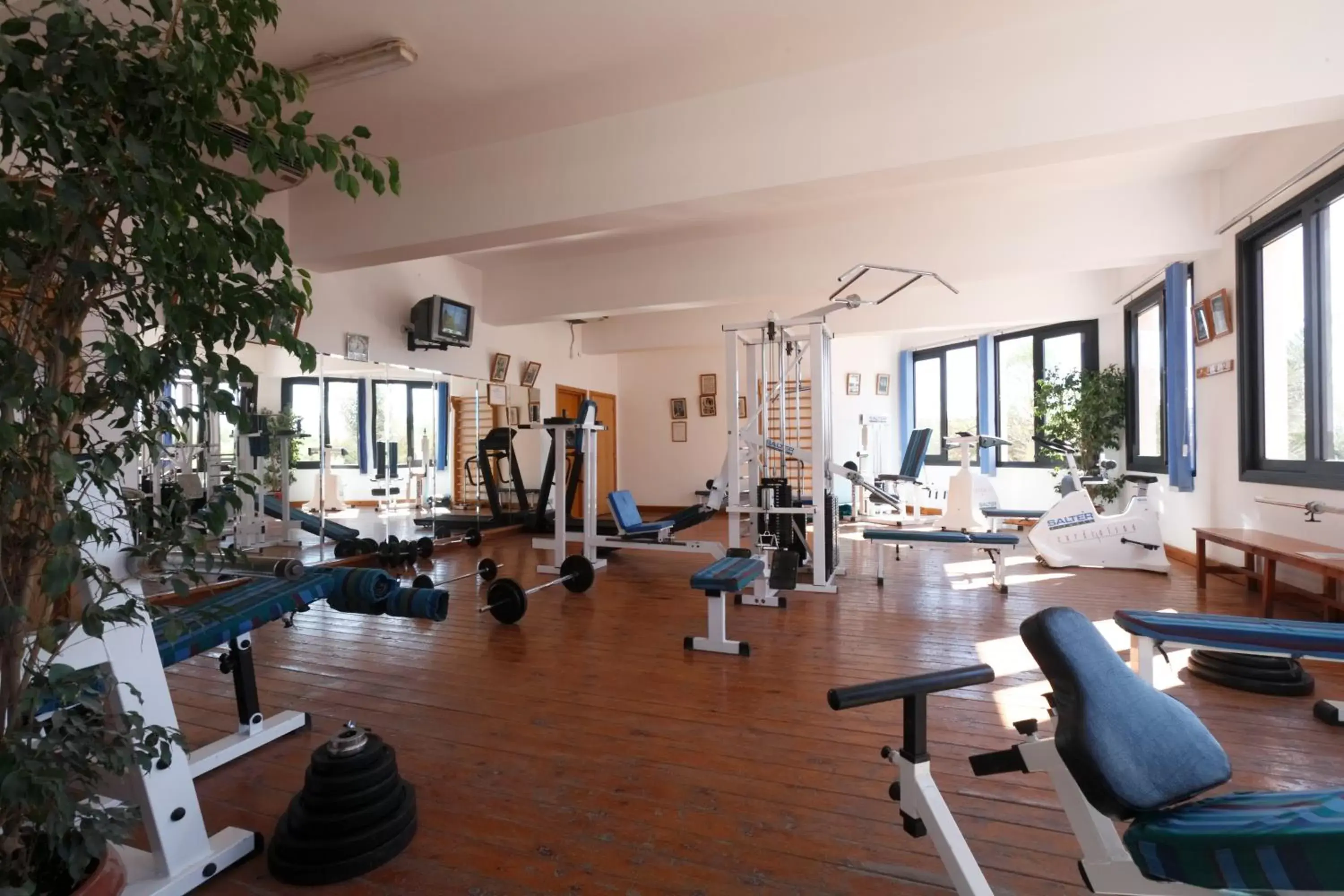 Fitness centre/facilities, Fitness Center/Facilities in Pharaoh Azur Resort