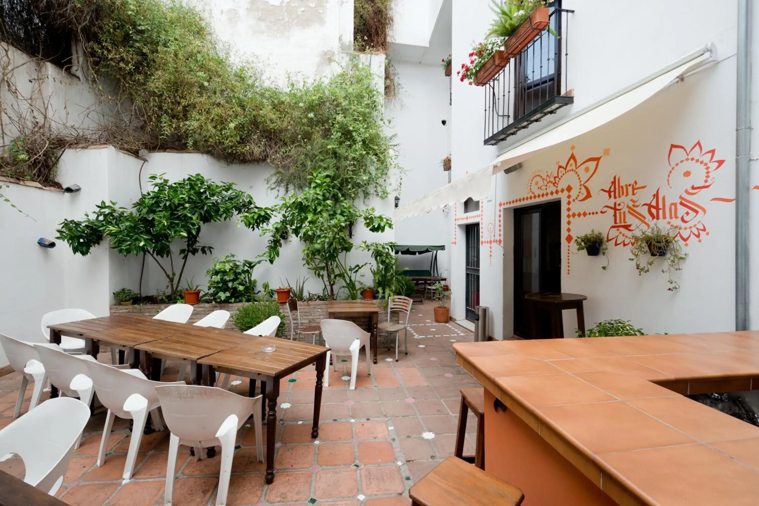 Lounge or bar, Restaurant/Places to Eat in Oasis Backpackers' Hostel Granada