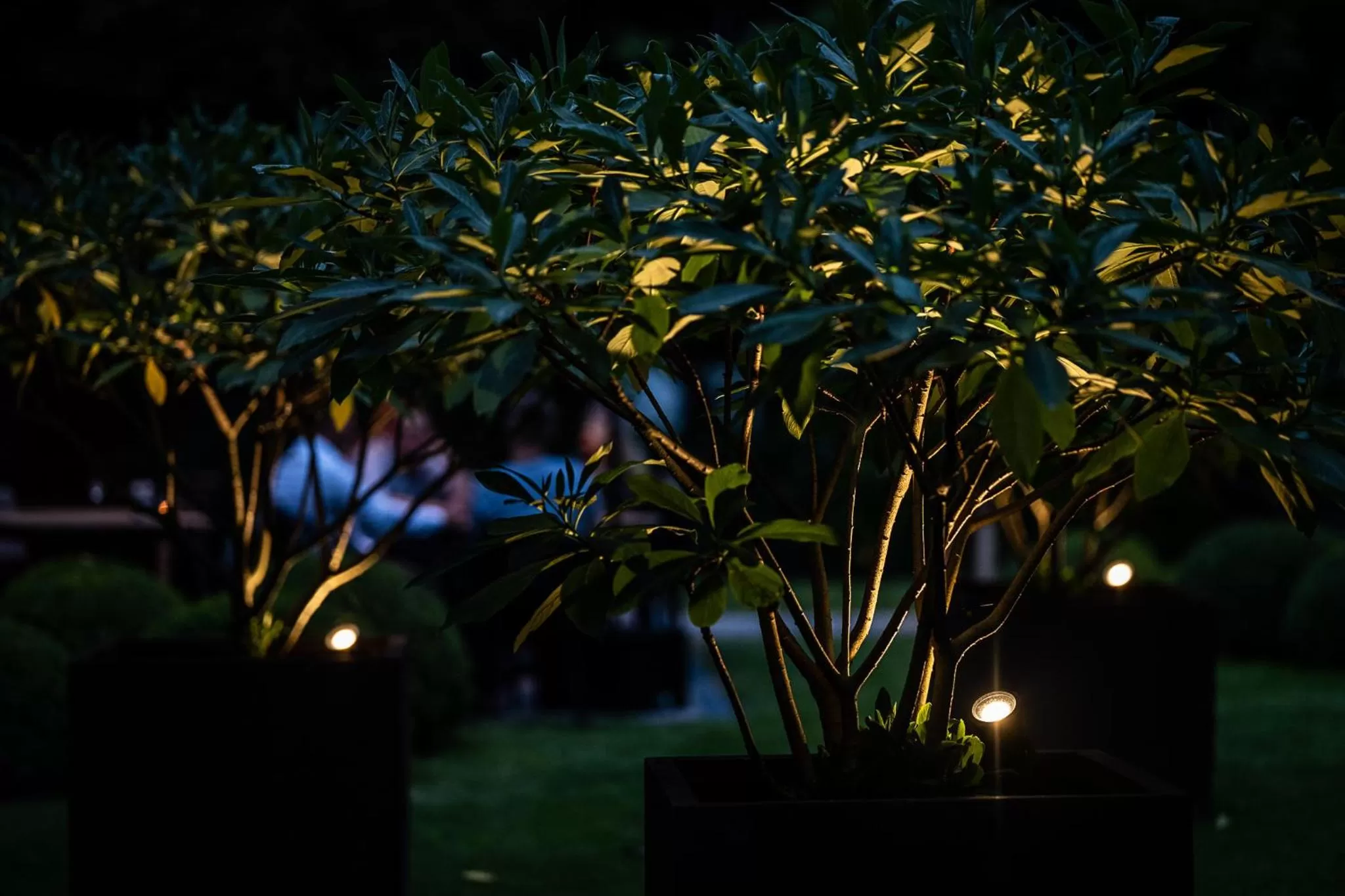 Garden in Boutiquehotel 't Fraeyhuis - adults only