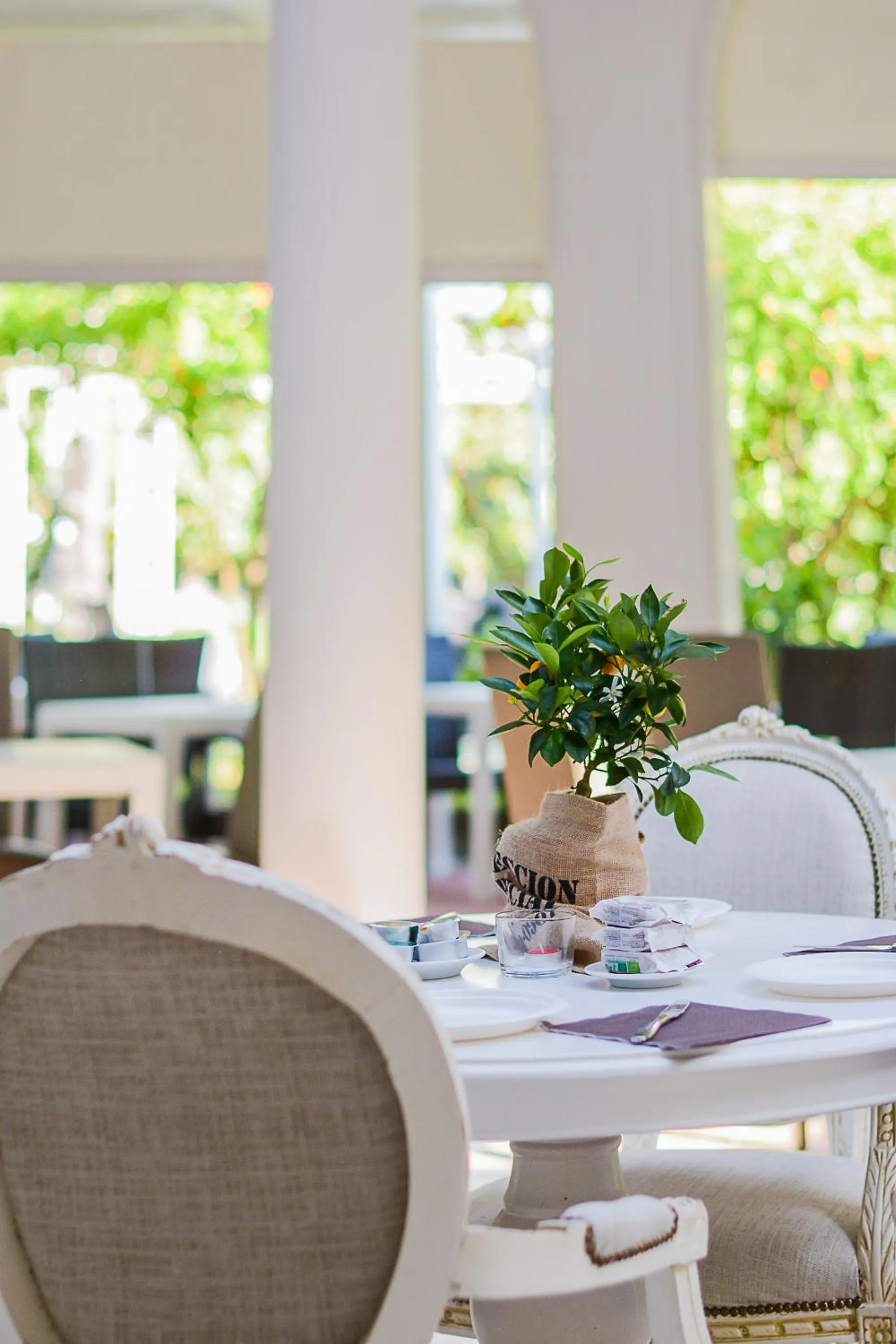 Restaurant/places to eat in Bellavista Terme Resort & Spa