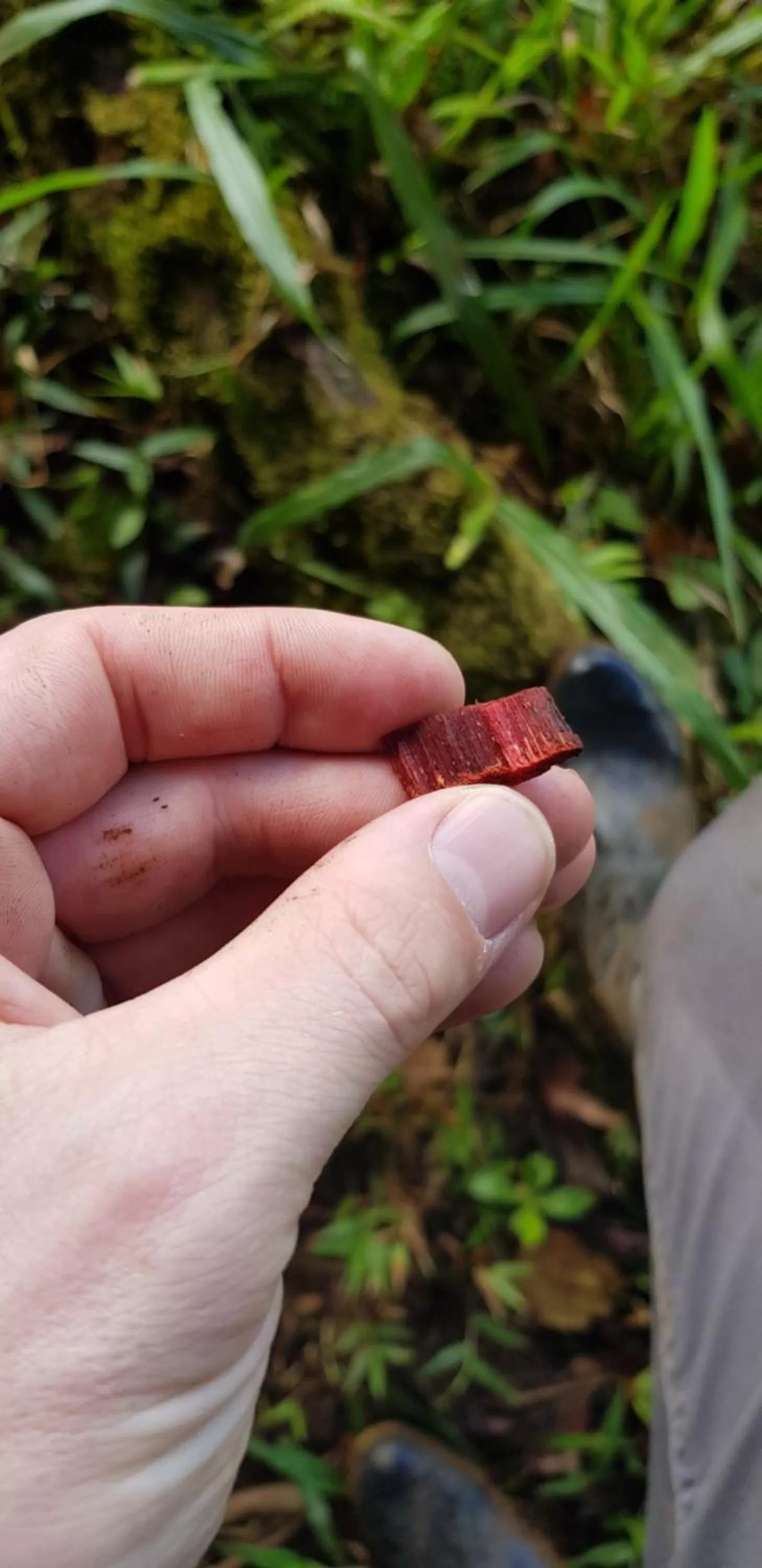 Natural landscape in Hotel Rivel - Adventure & Nature Retreat